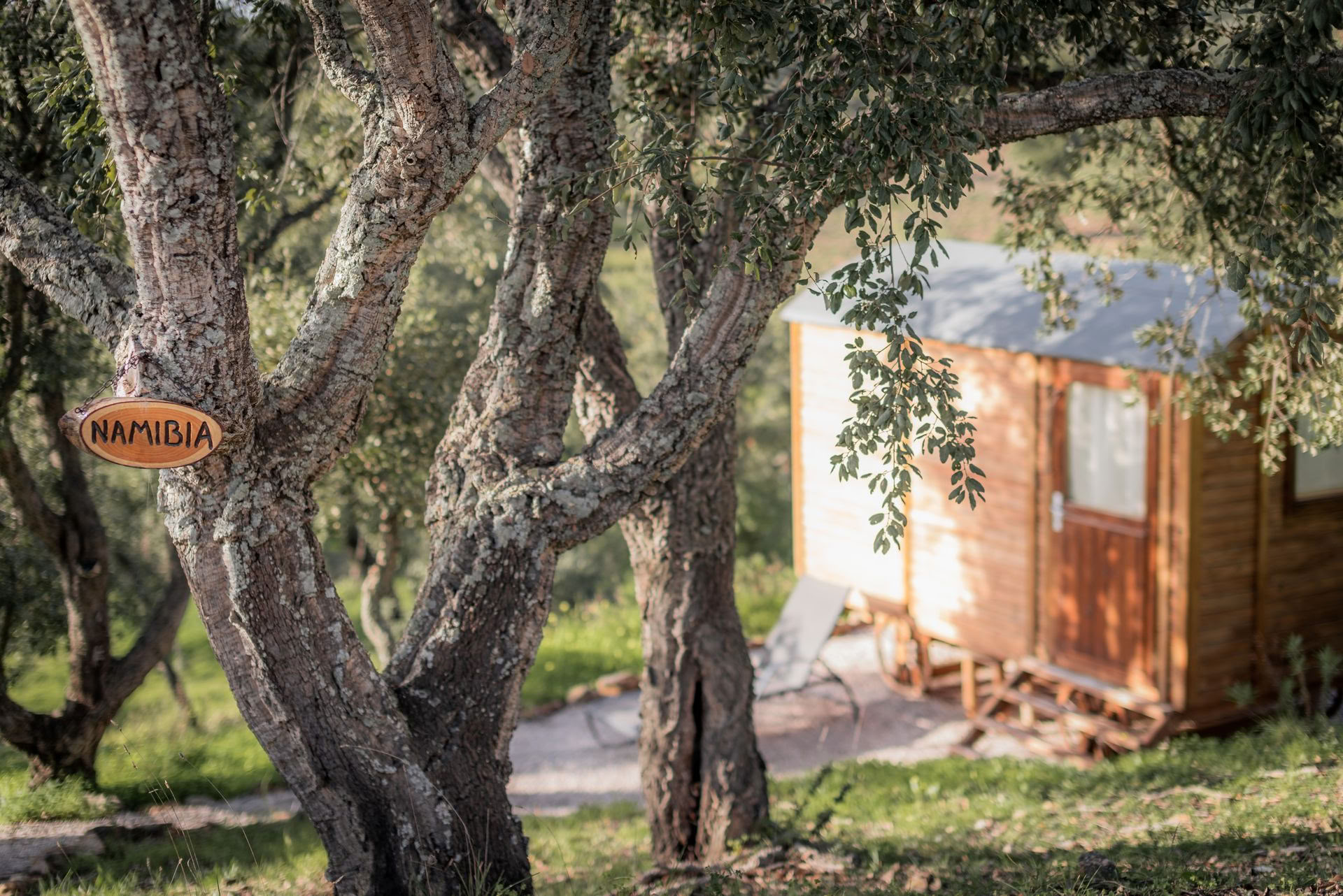 The Wild & Free Retreat