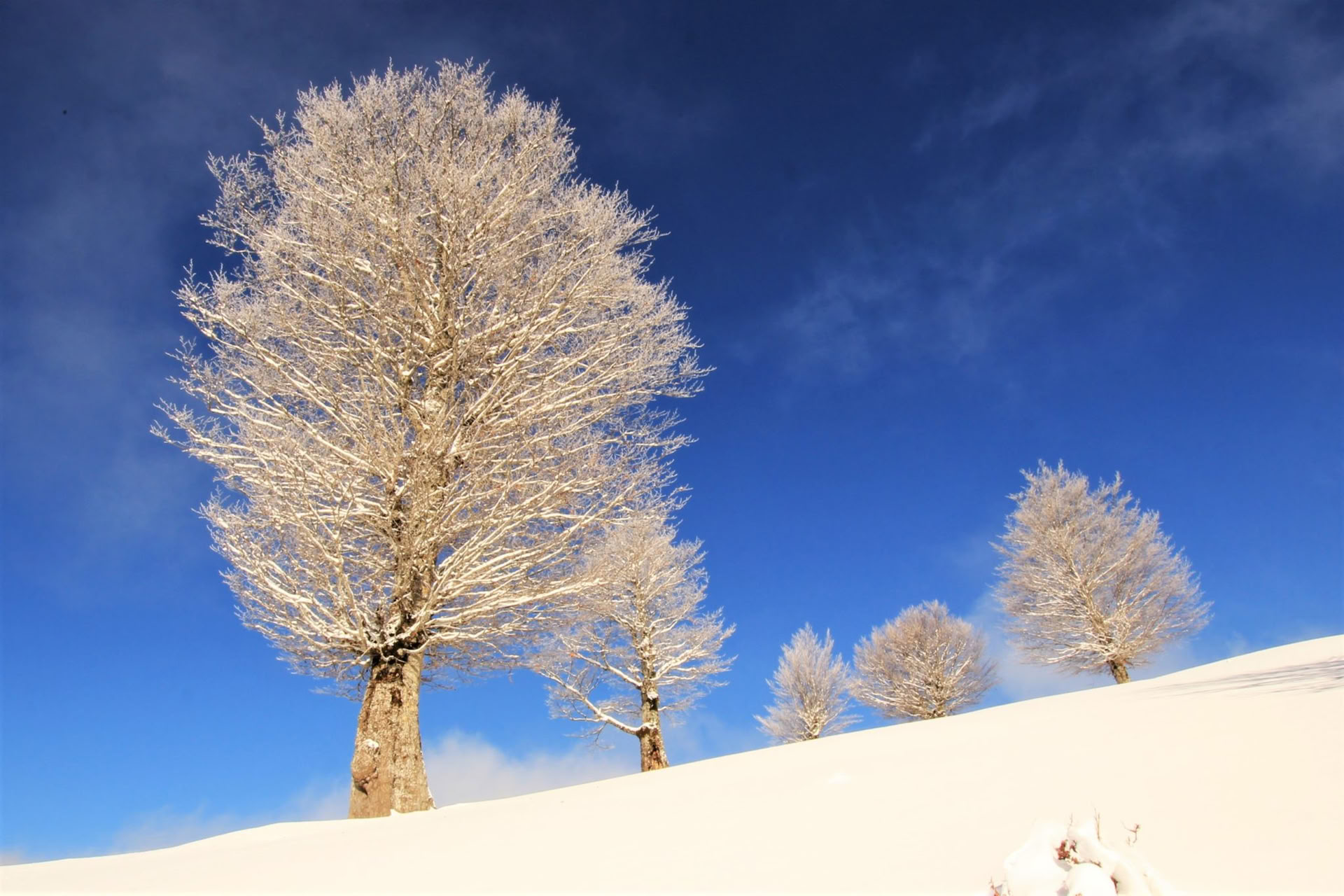 7 Day Winter Activity Holiday in Montenegro