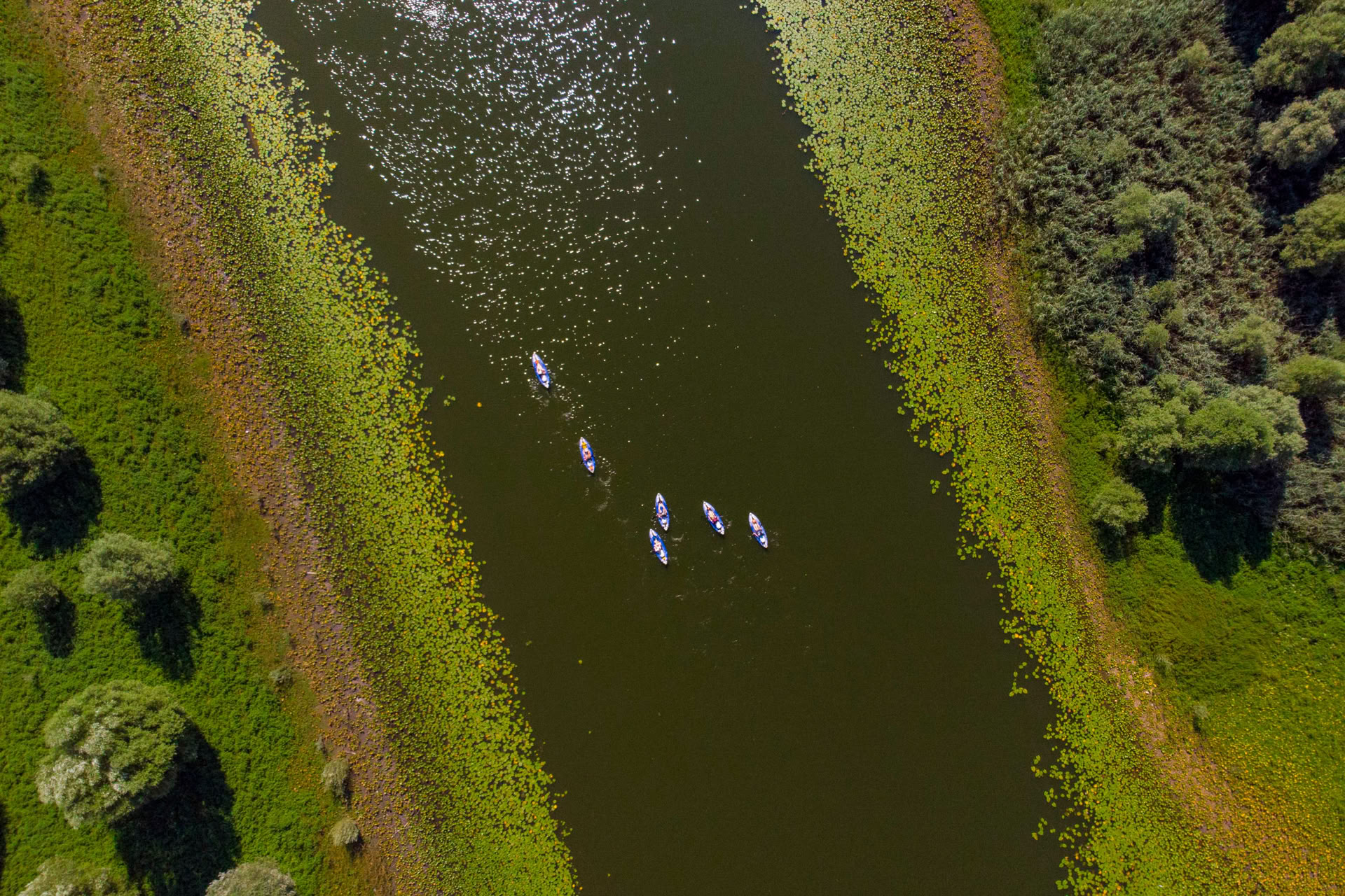 7 Day Kayaking Holiday, Lake Skadar