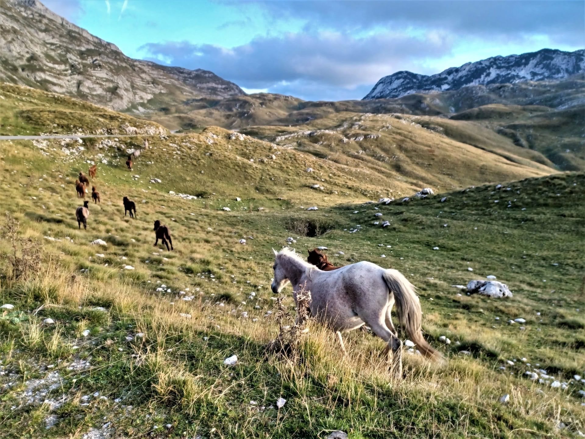 7 Day Mountain Hiking Holiday in Montenegro