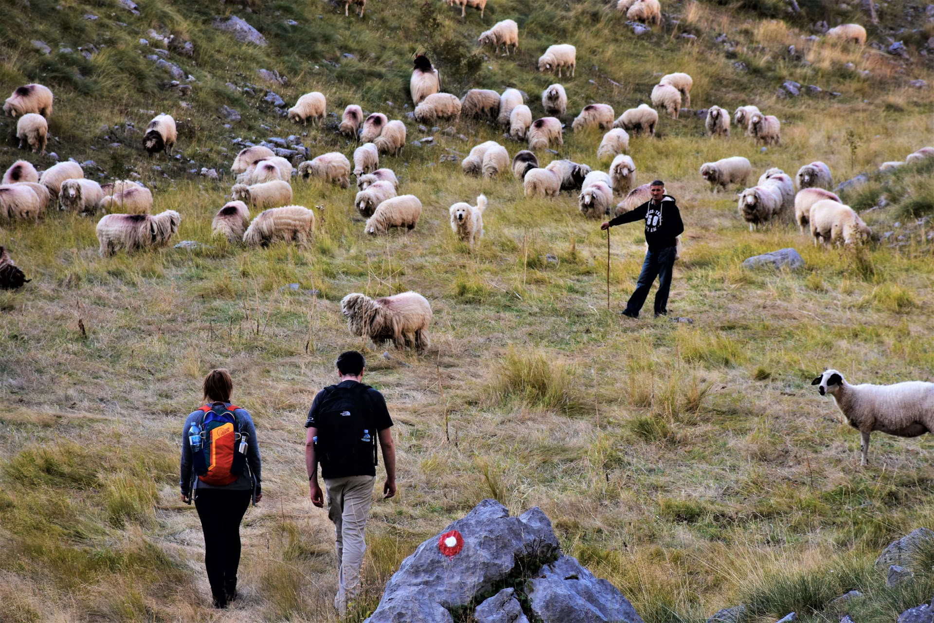 7 Day Mountain Hiking Holiday in Montenegro