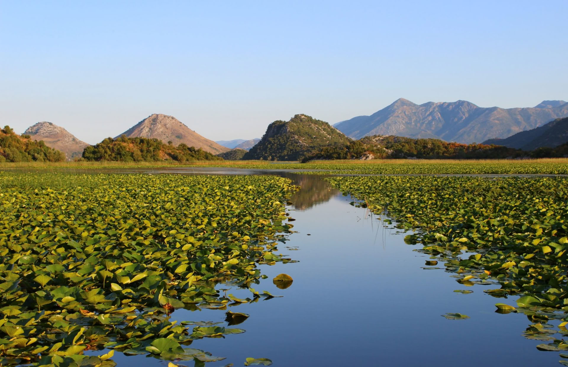 7 Day Breathing in Nature Yoga holiday at Lake Skadar, Montenegro
