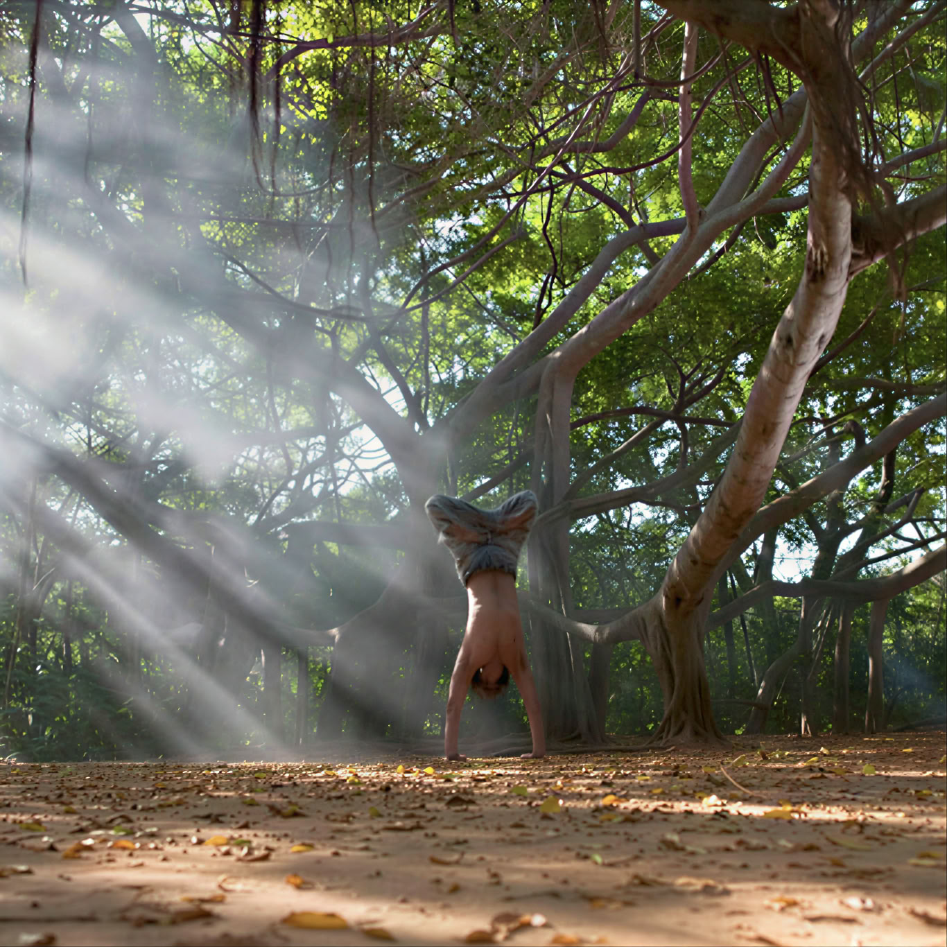 Mick Barnes - 8 Limbs of Hatha Yoga
