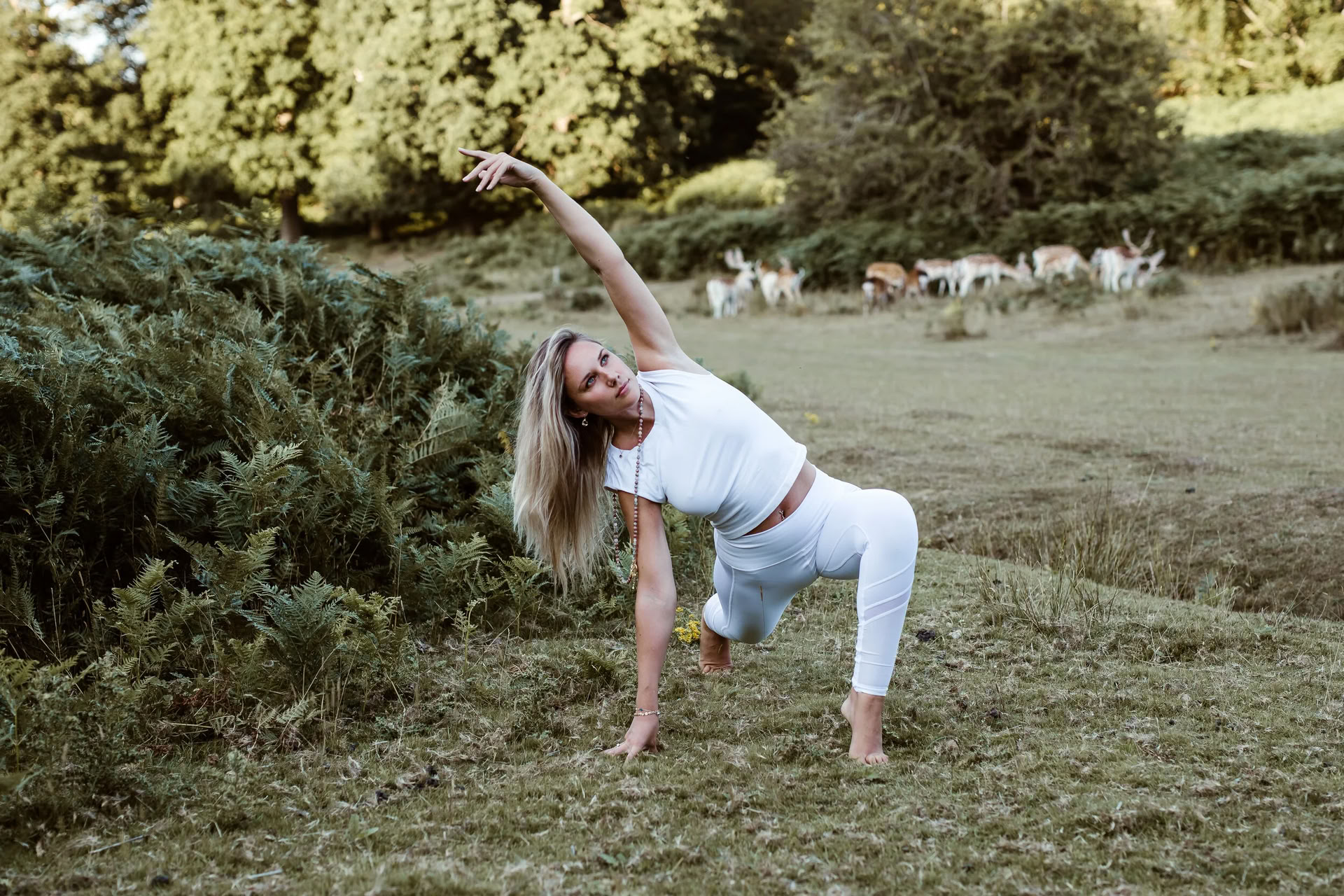 Vinyasa Flow + Yin Yoga (All levels)