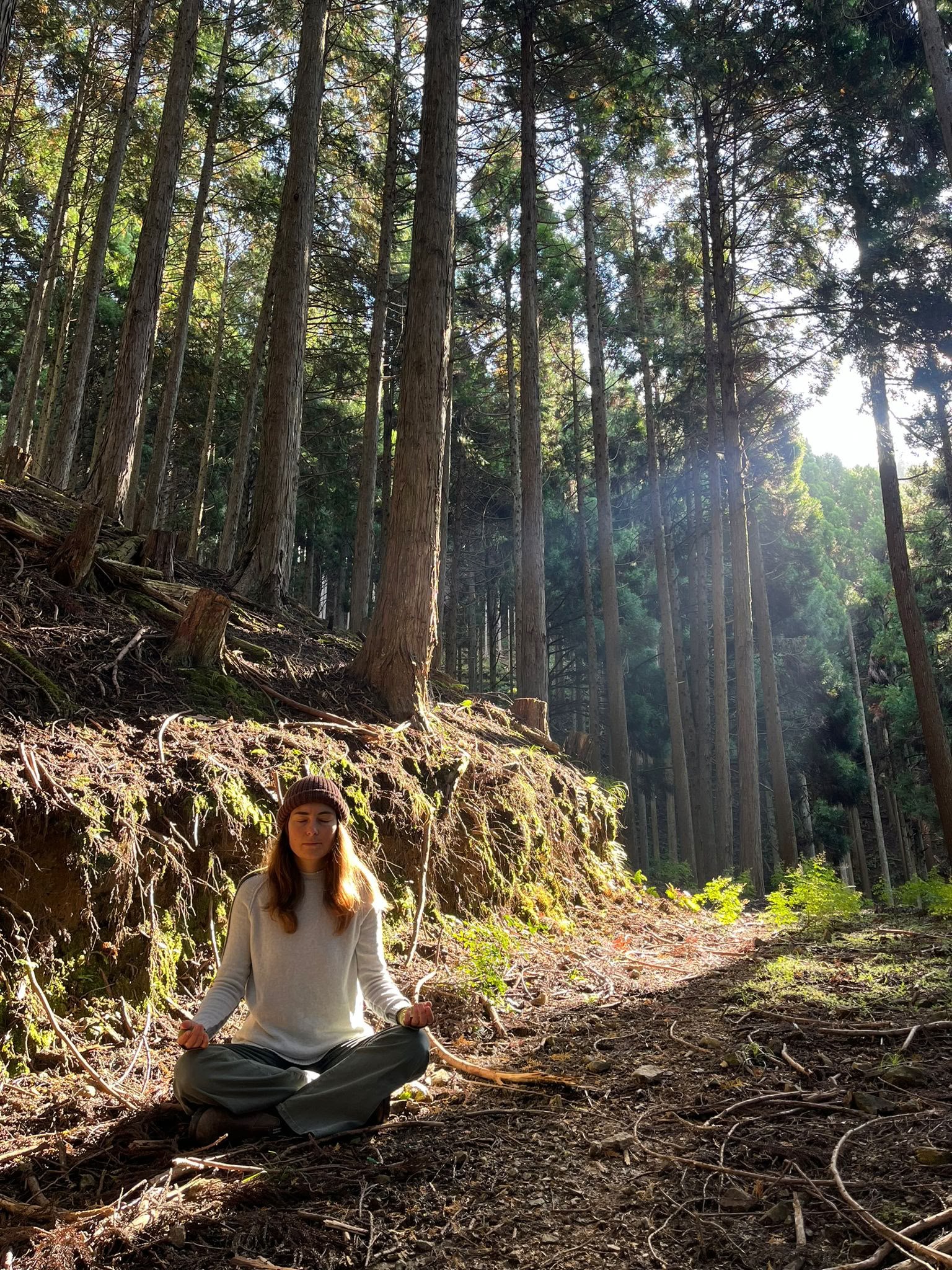 Holistic Hatha ☆ Hatha