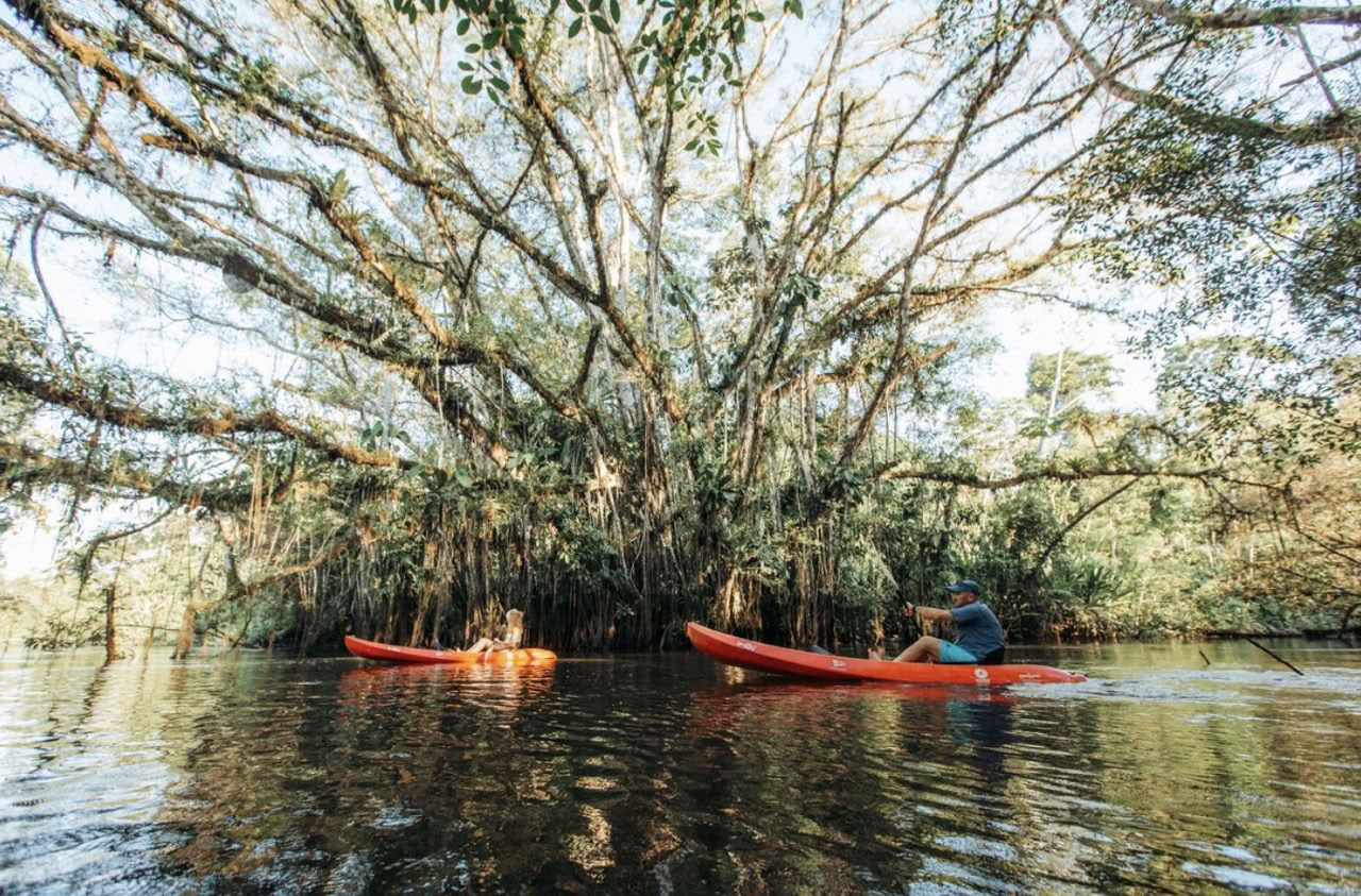 10-Day Amazon Retreat