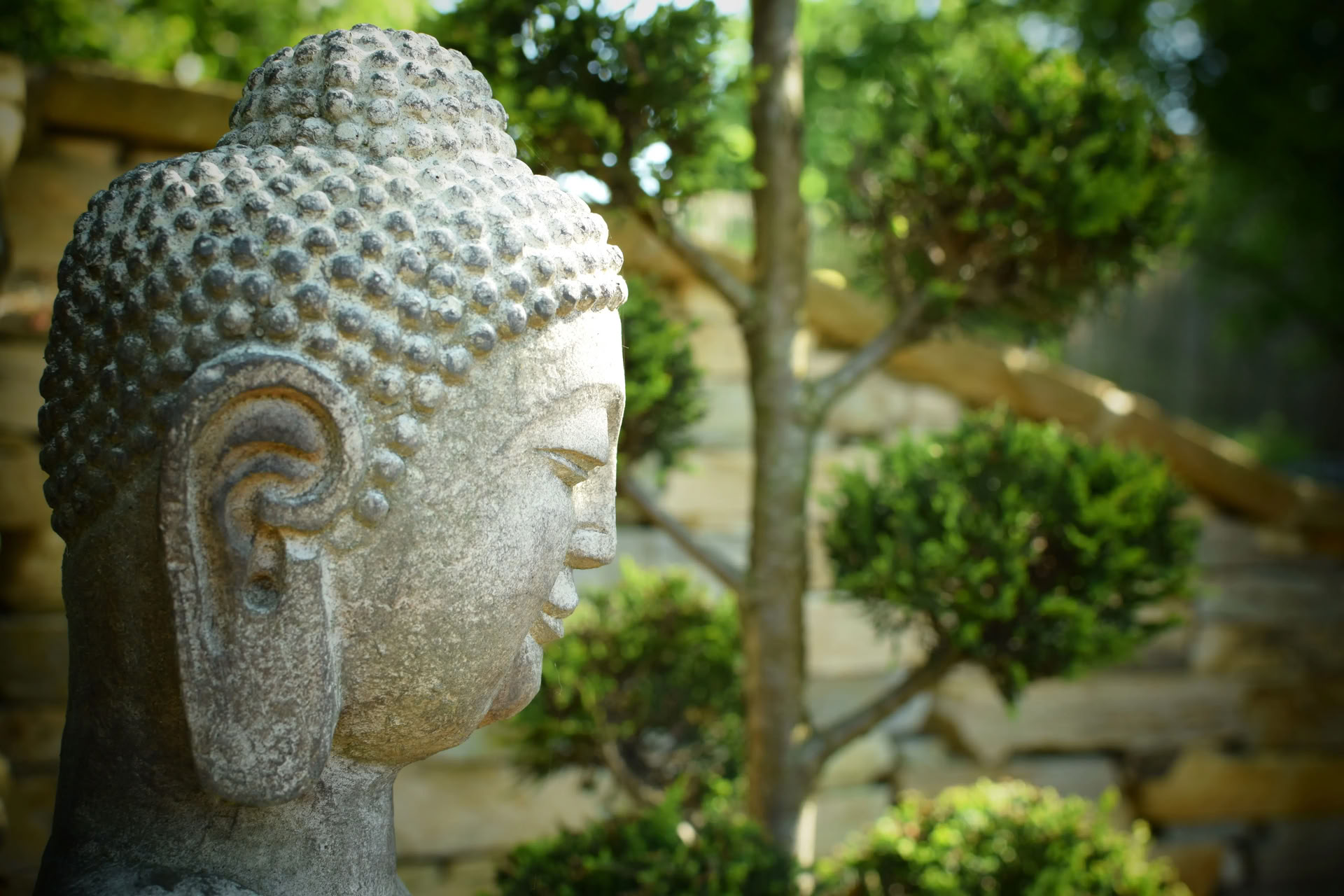 Vipassana (Insight Meditation)