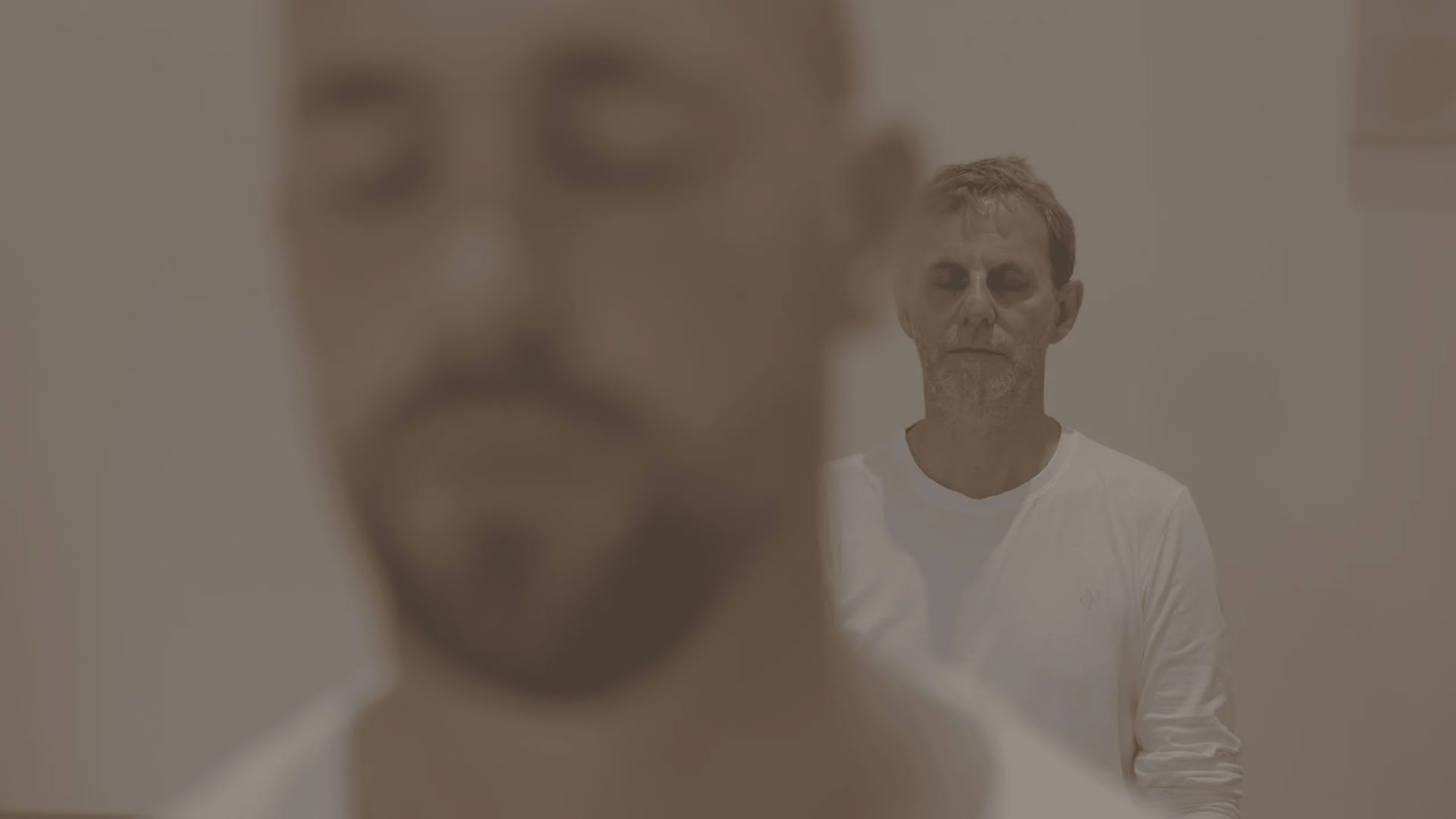 Vipassana (Insight Meditation)