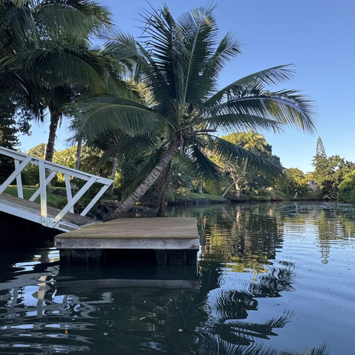Standard Surf & Yoga Retreat