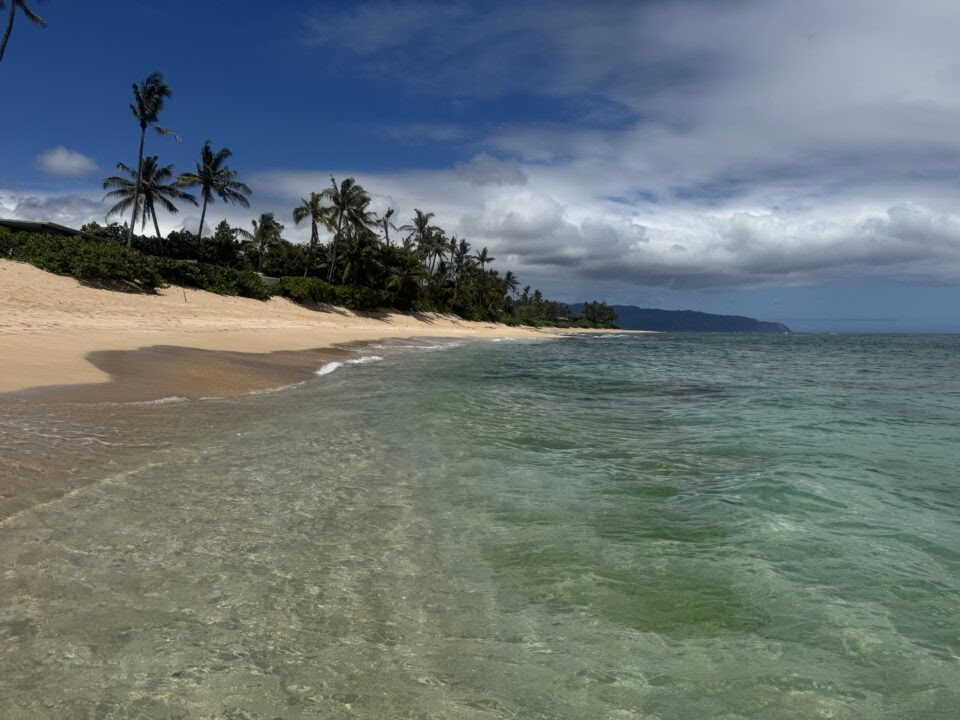Non-Surfer Yoga Retreat Package
