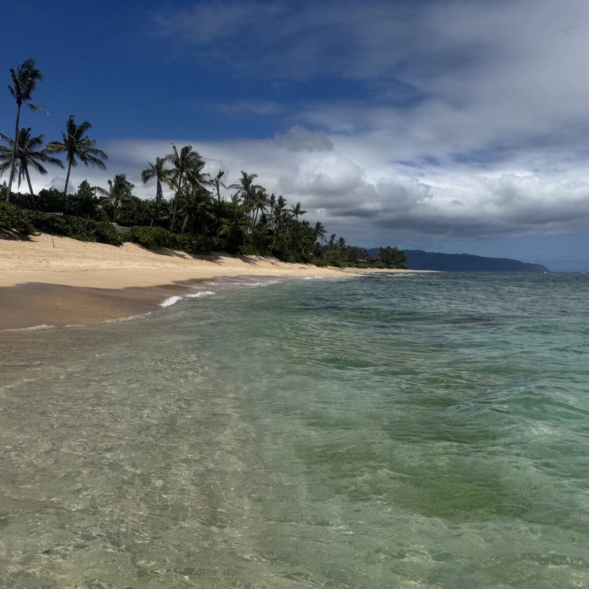 Non-Surfer Yoga Retreat Package