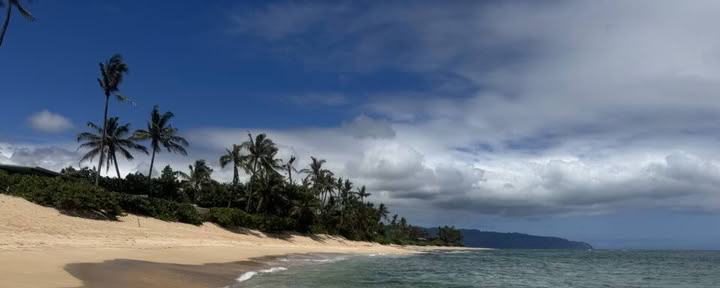 Non-Surfer Yoga Retreat Package