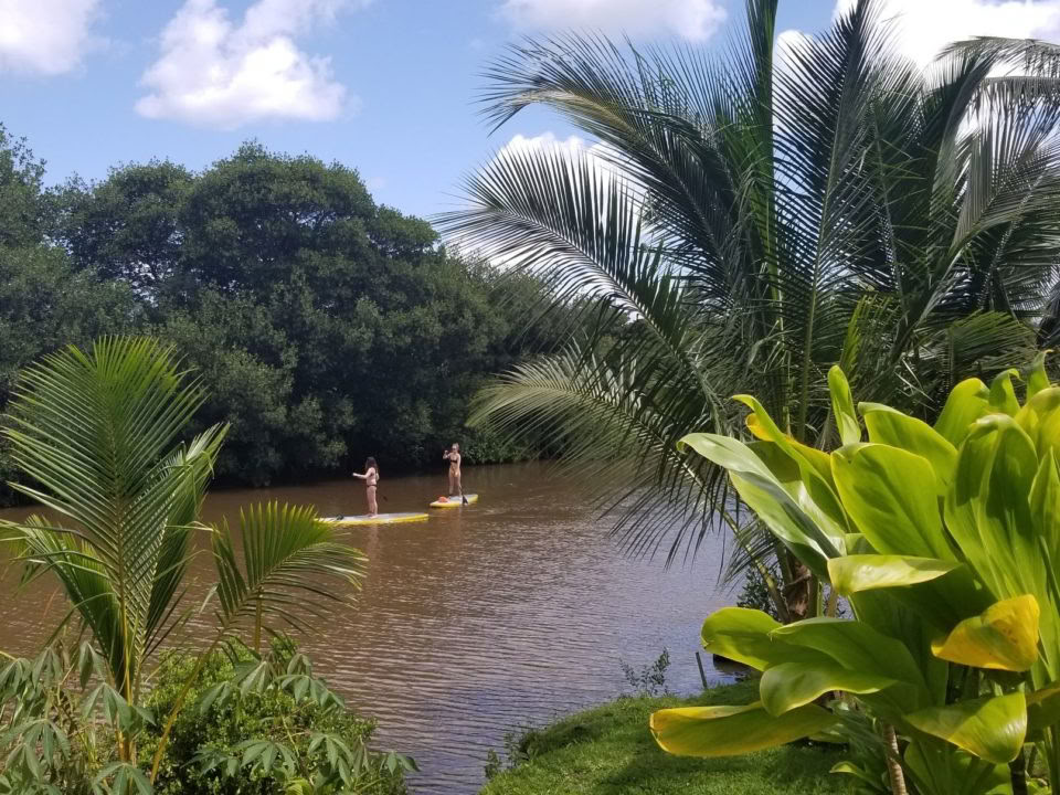 Semi-Private SUP Lessons