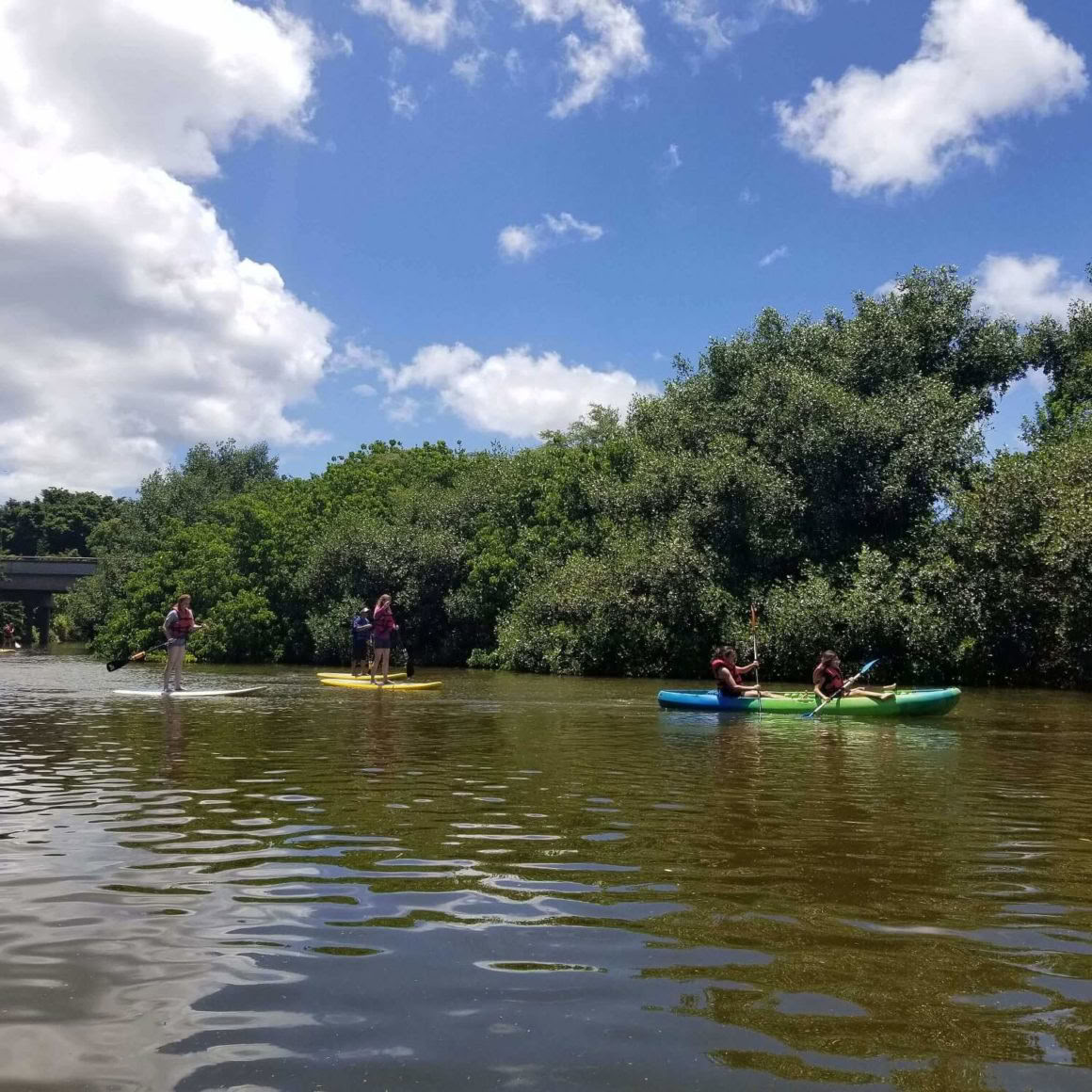 Semi-Private SUP Lessons