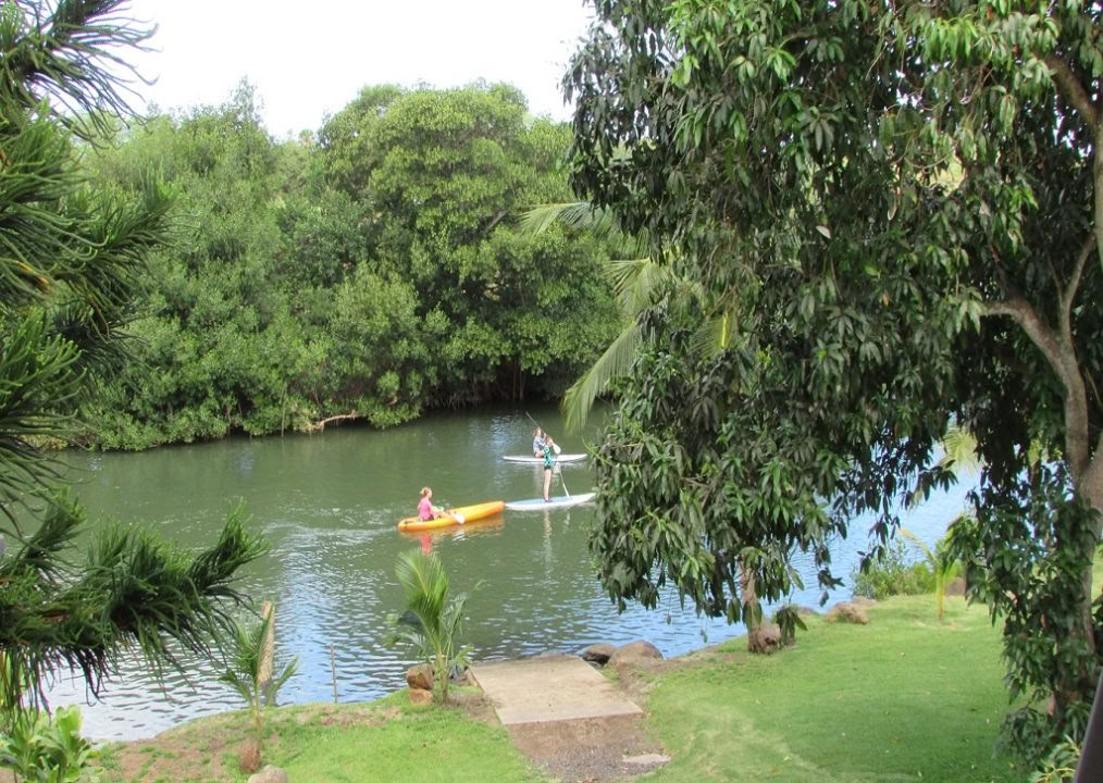 Semi-Private SUP Lessons