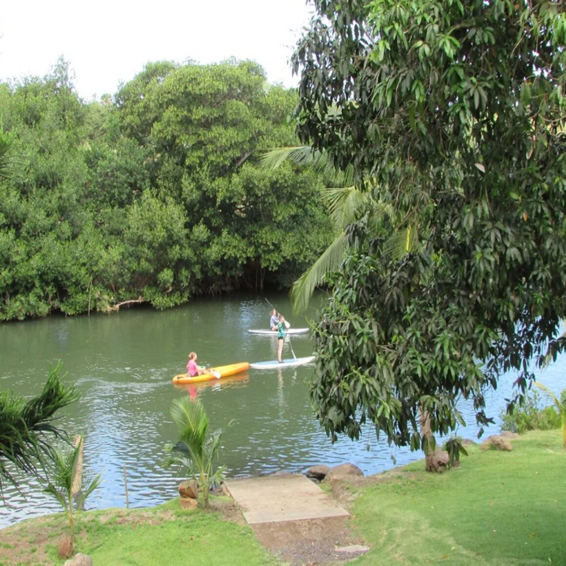 Semi-Private SUP Lessons