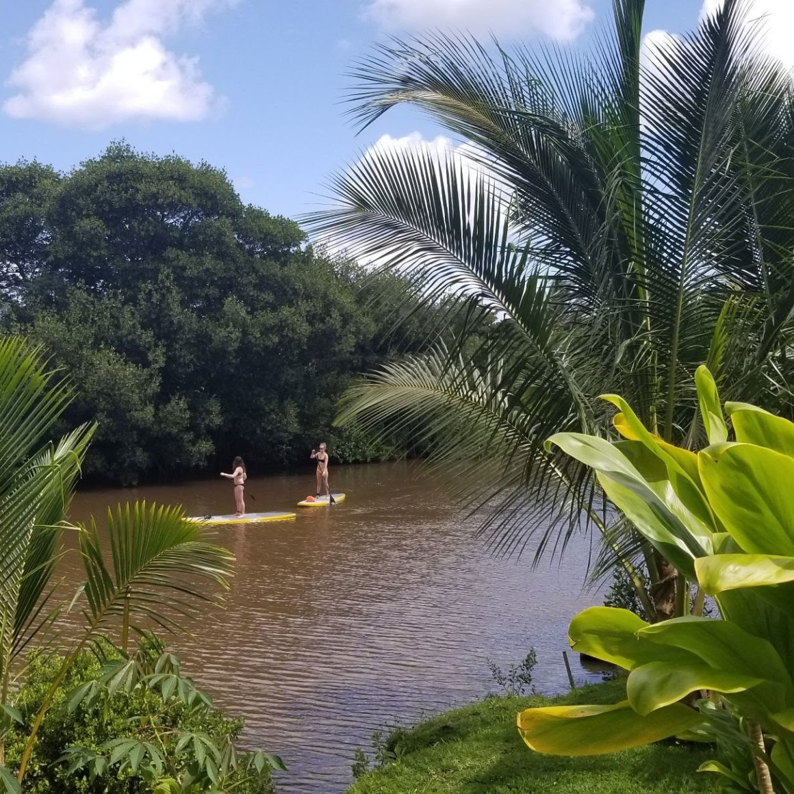 Semi-Private SUP Lessons