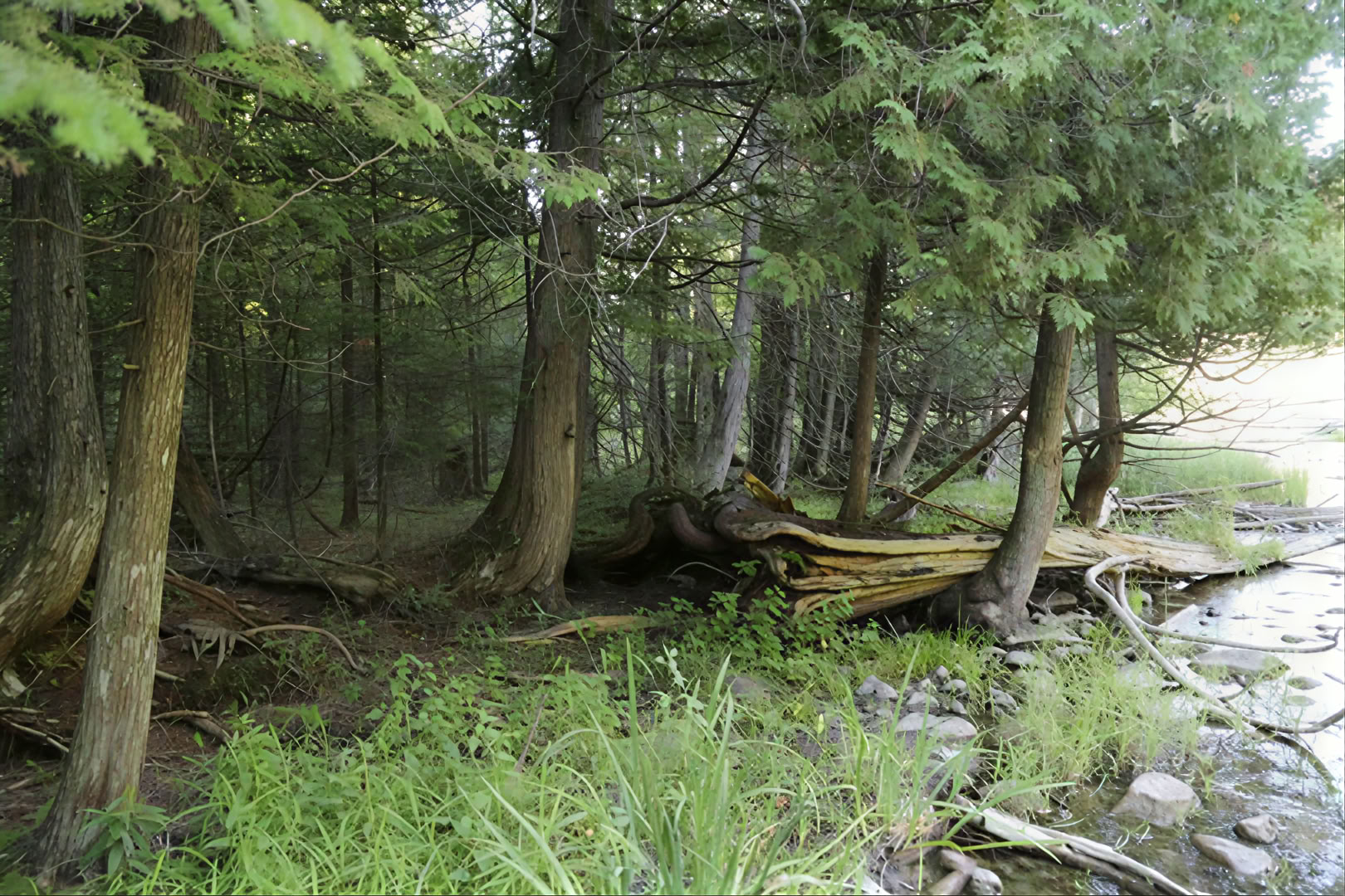 Corporate or Group Retreats