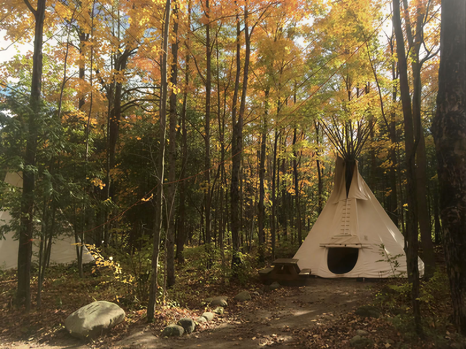 Corporate or Group Retreats
