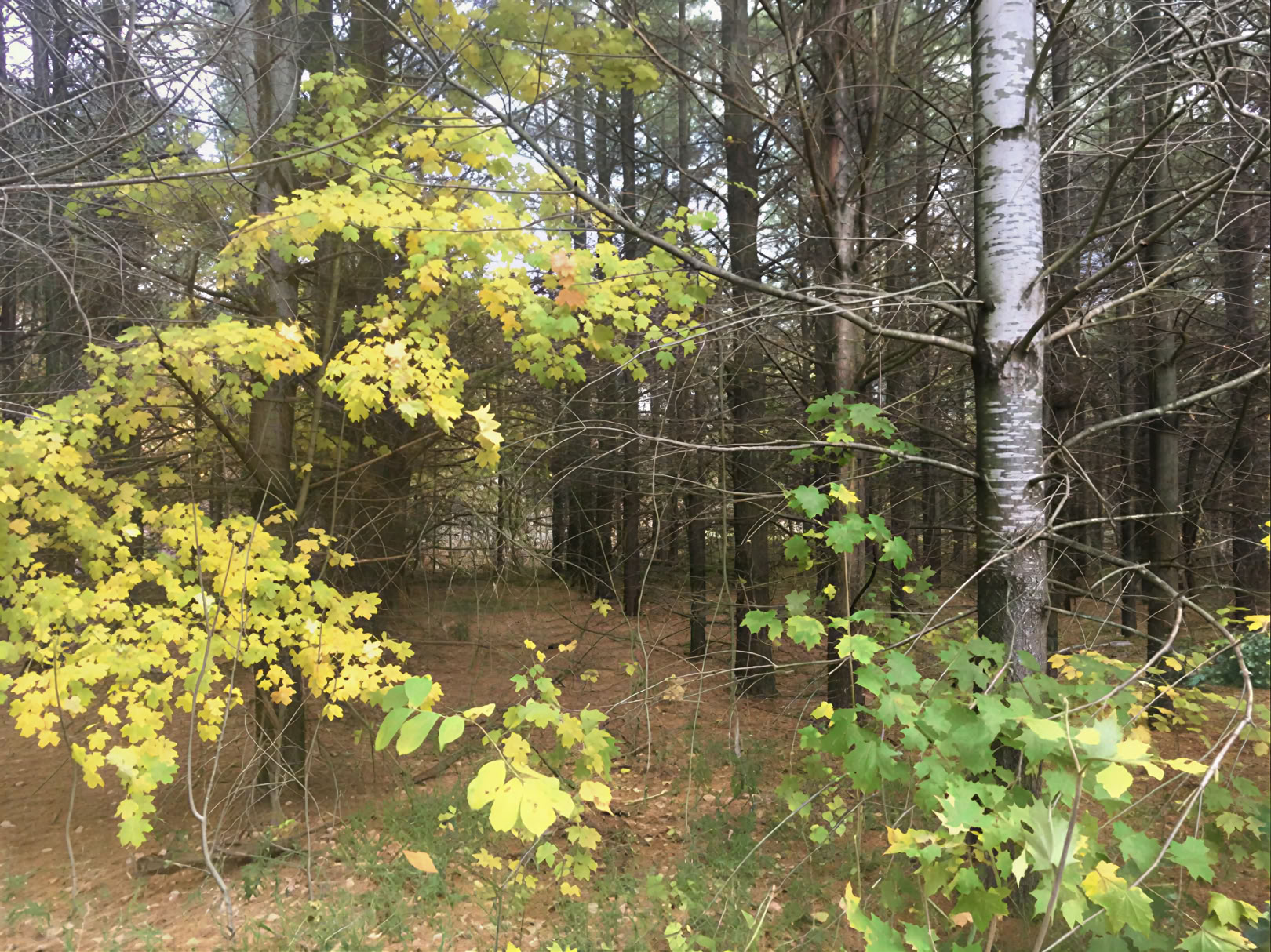 Corporate or Group Retreats