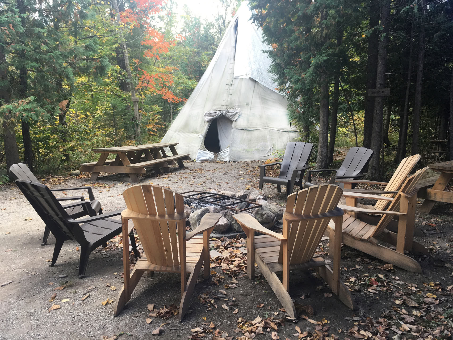 Yoga in Nature on Your Own