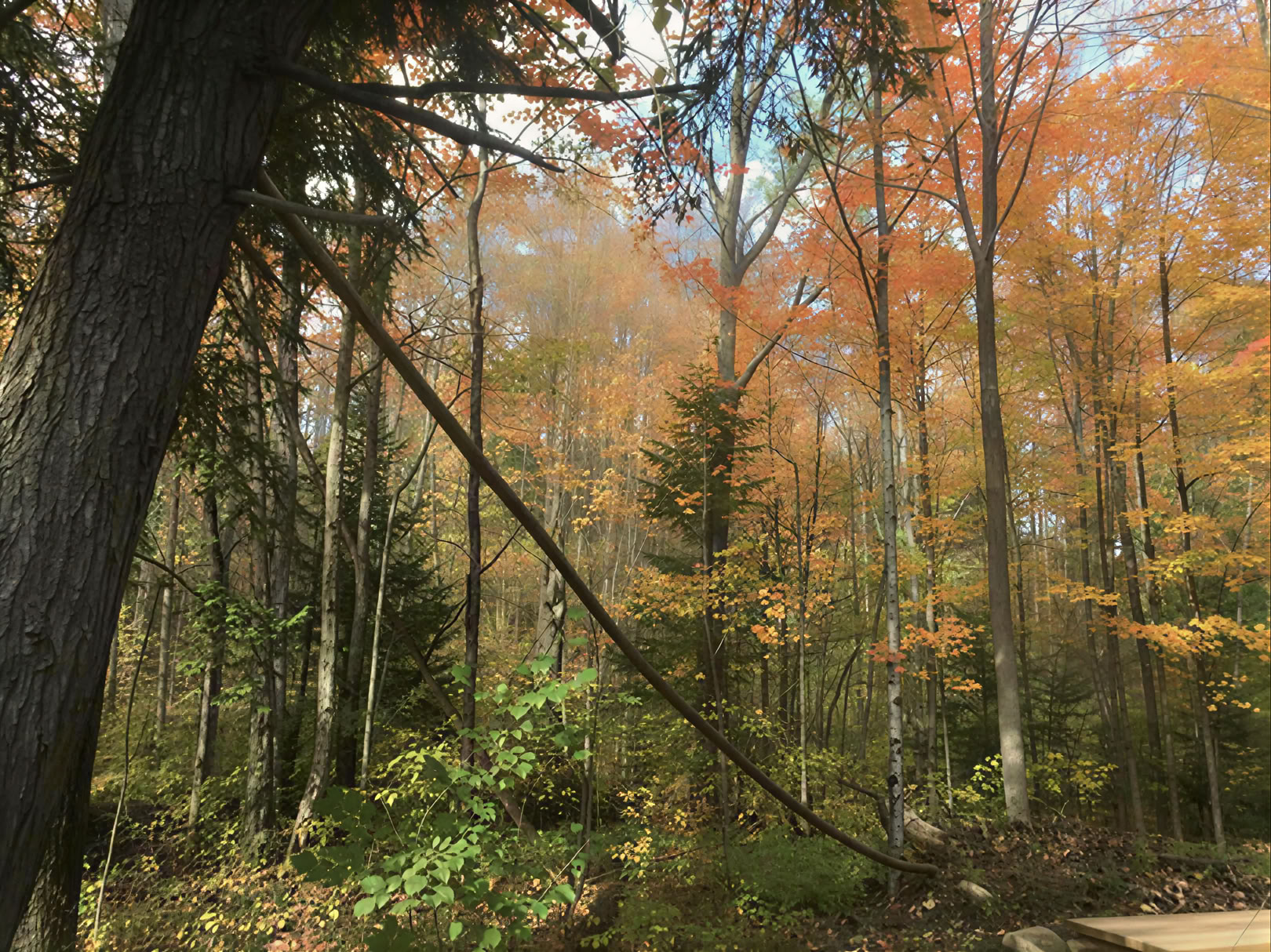 Yoga in Nature on Your Own