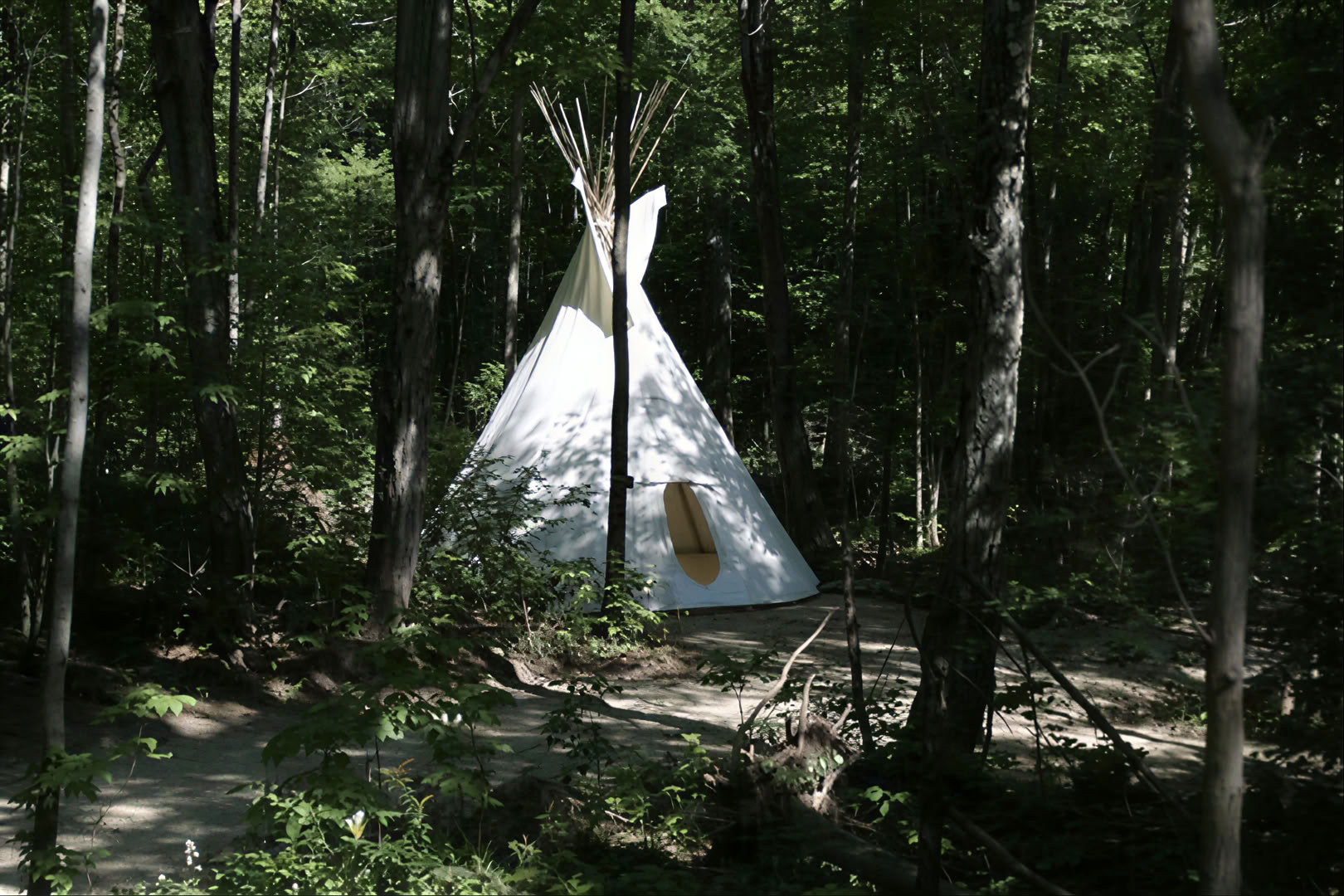 Facilitated Yoga in Nature