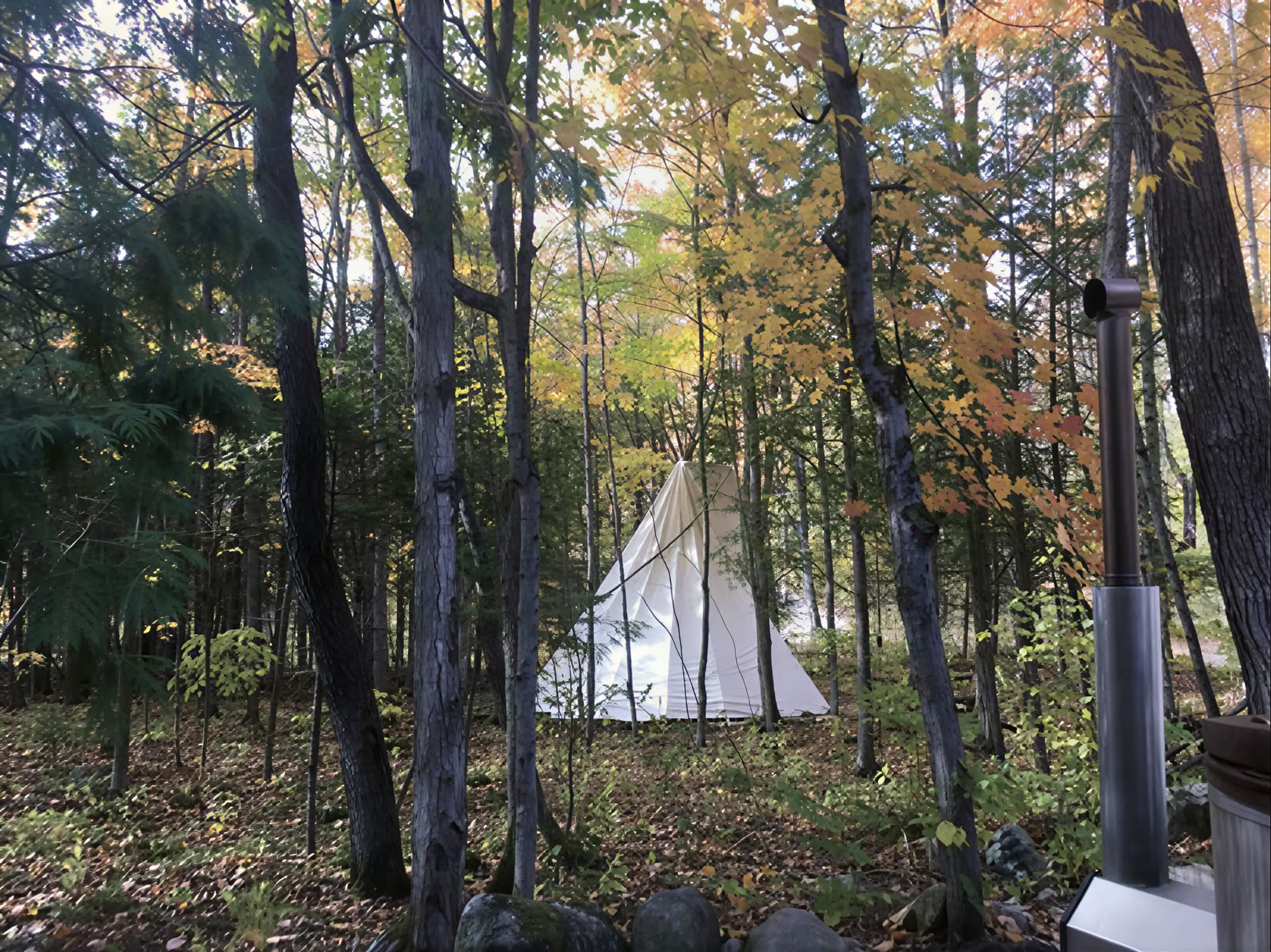 Facilitated Yoga in Nature