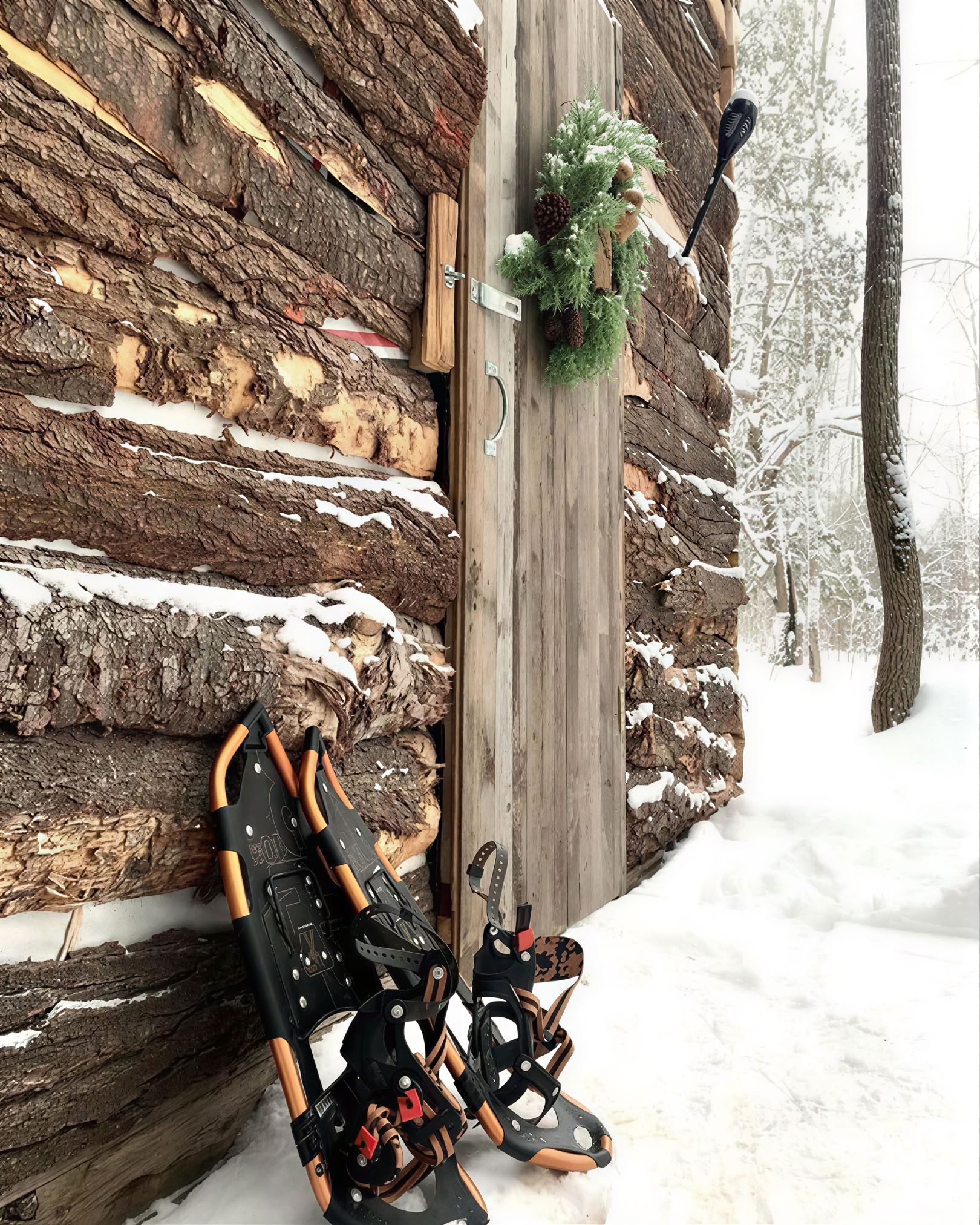 Tobogganing