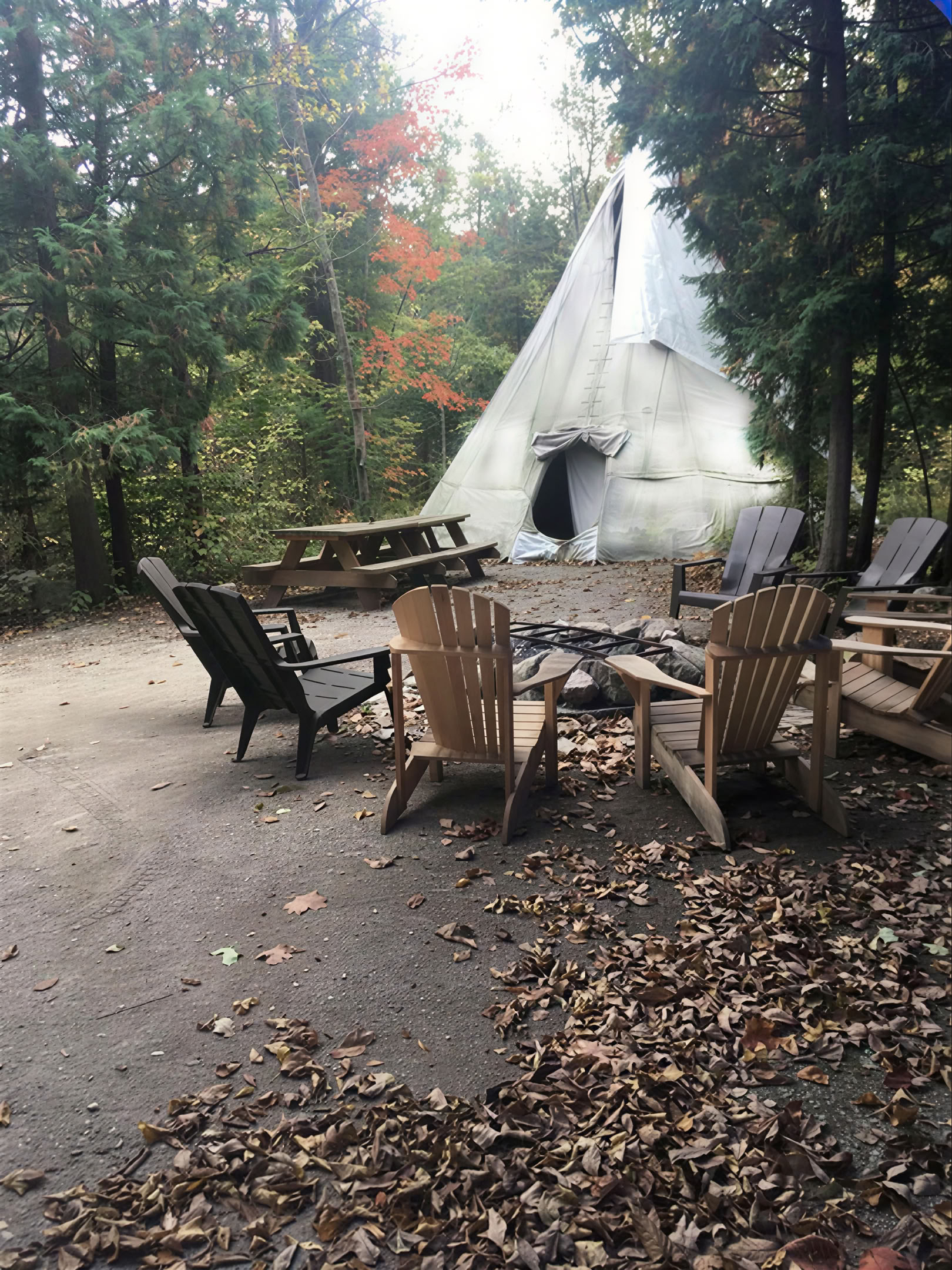 Forestbathing