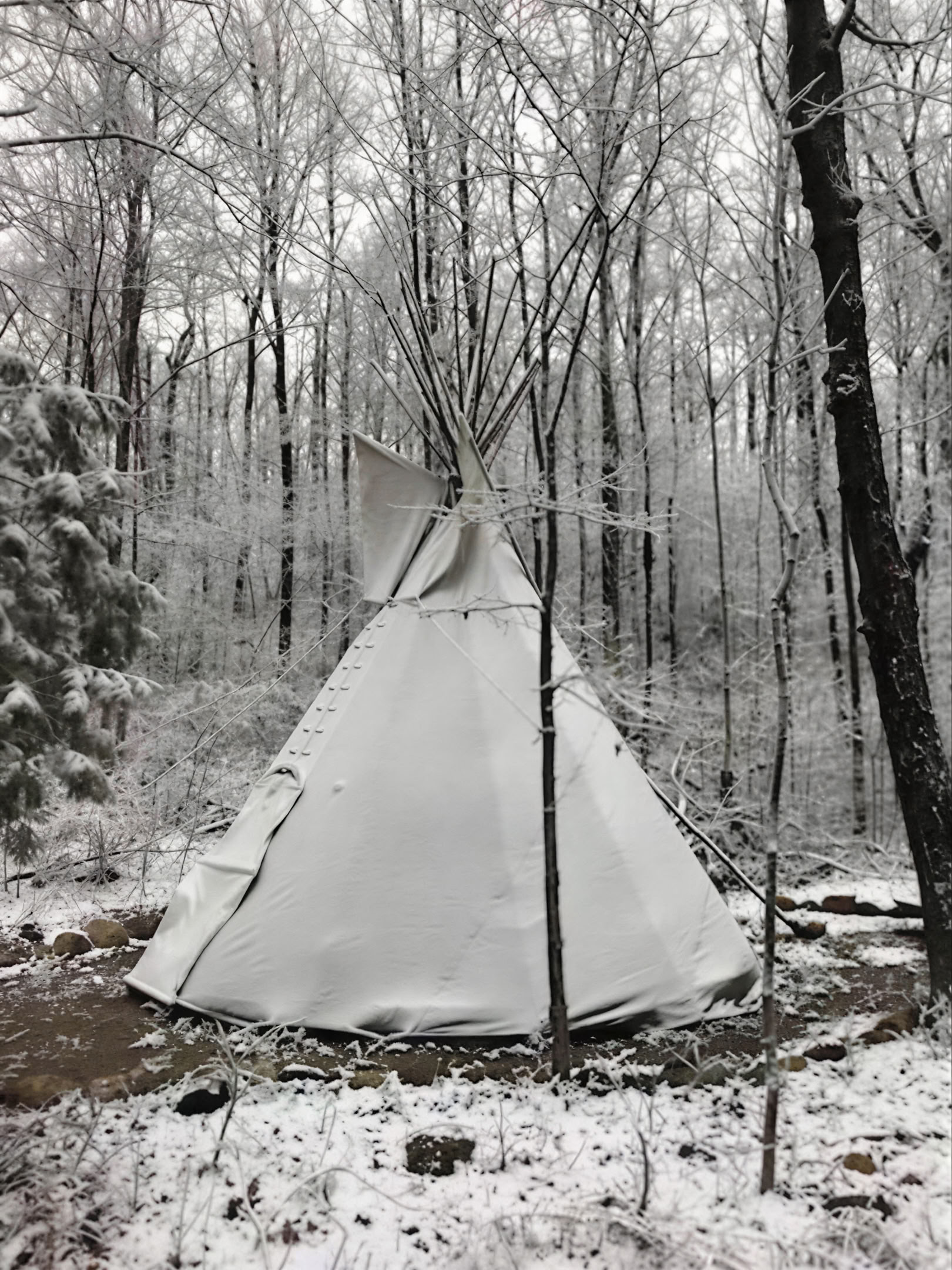 Birdwatching