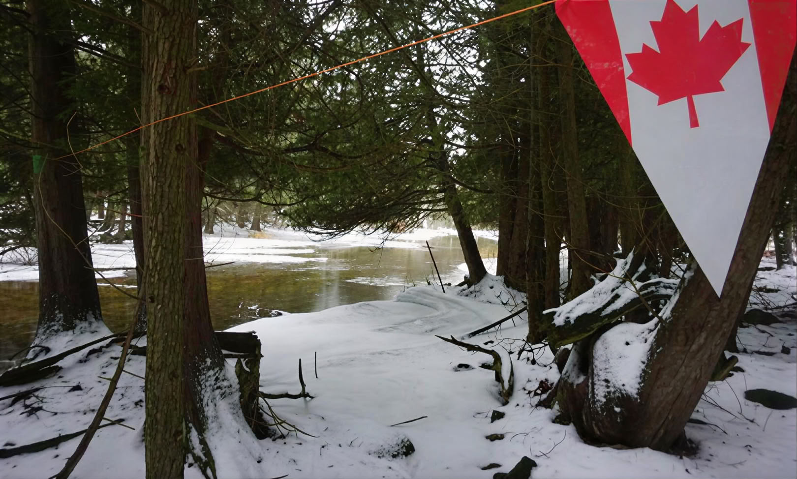 Snowshoeing
