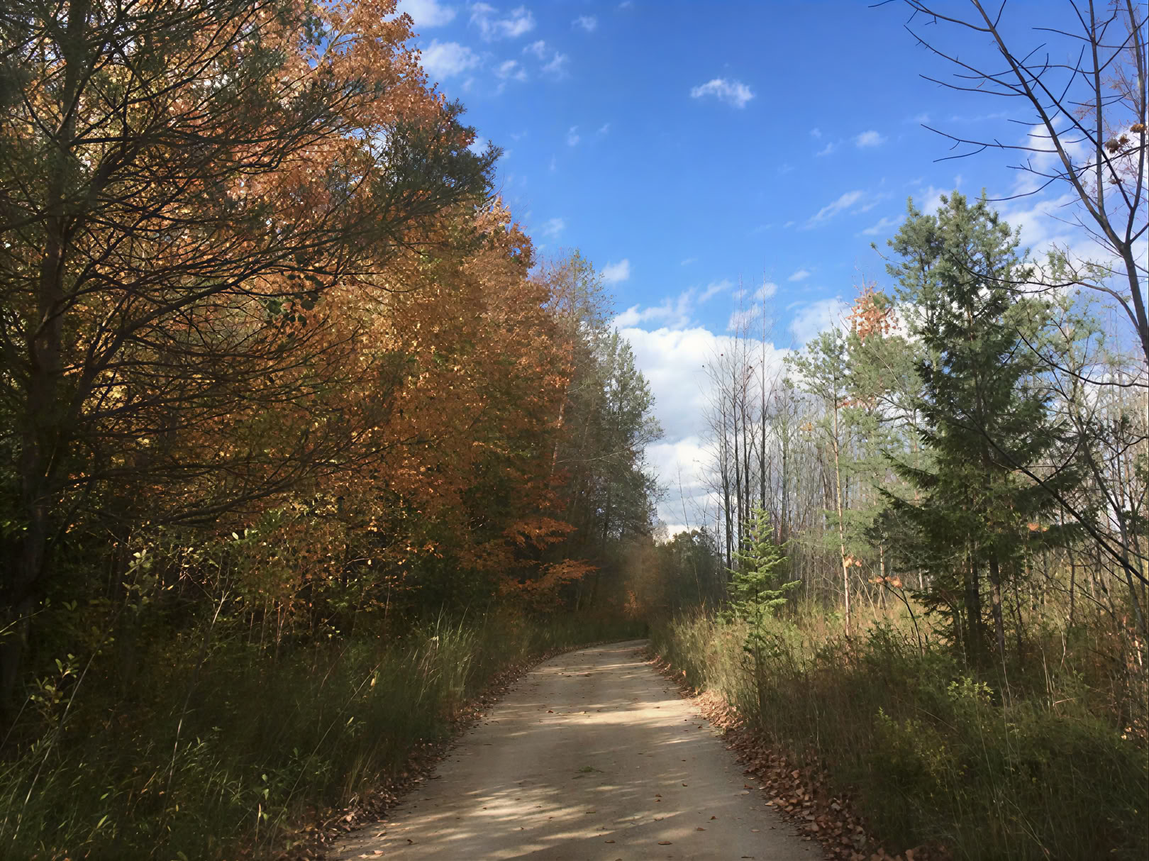 Feel Whole Again Retreat