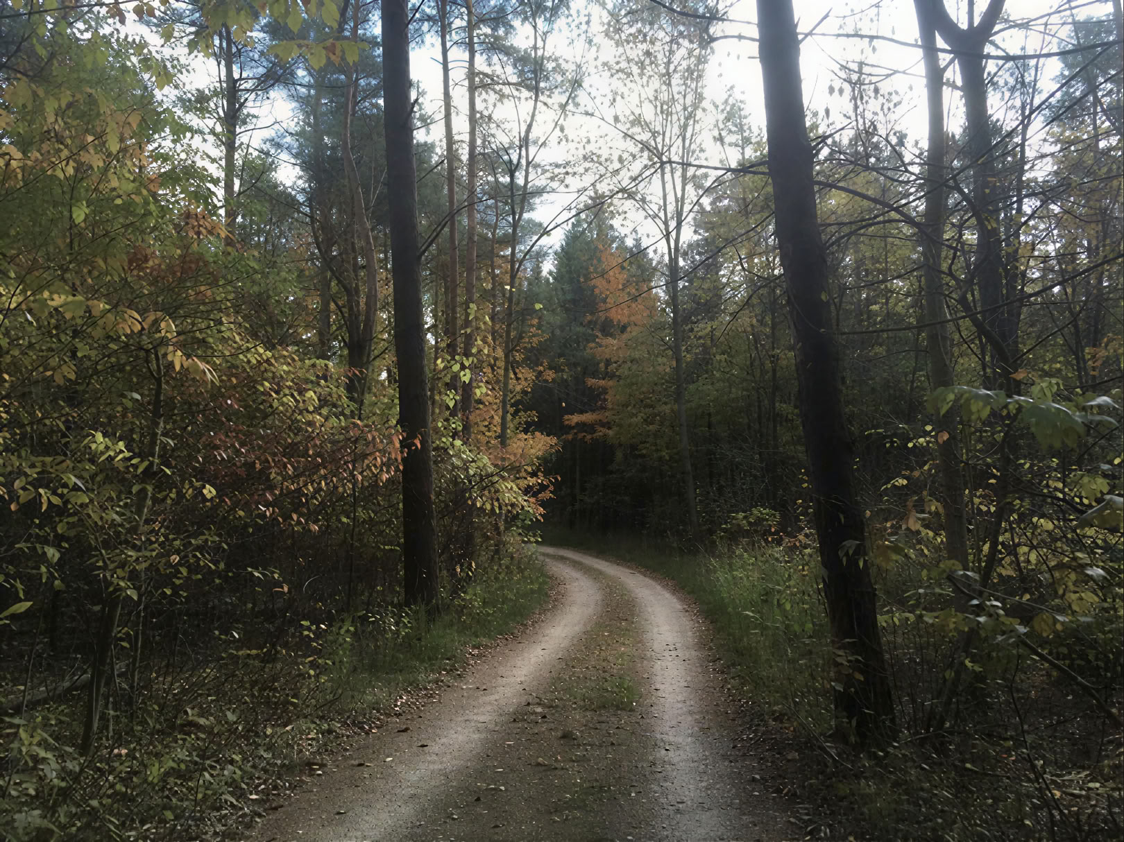 Plant Medicine Retreat