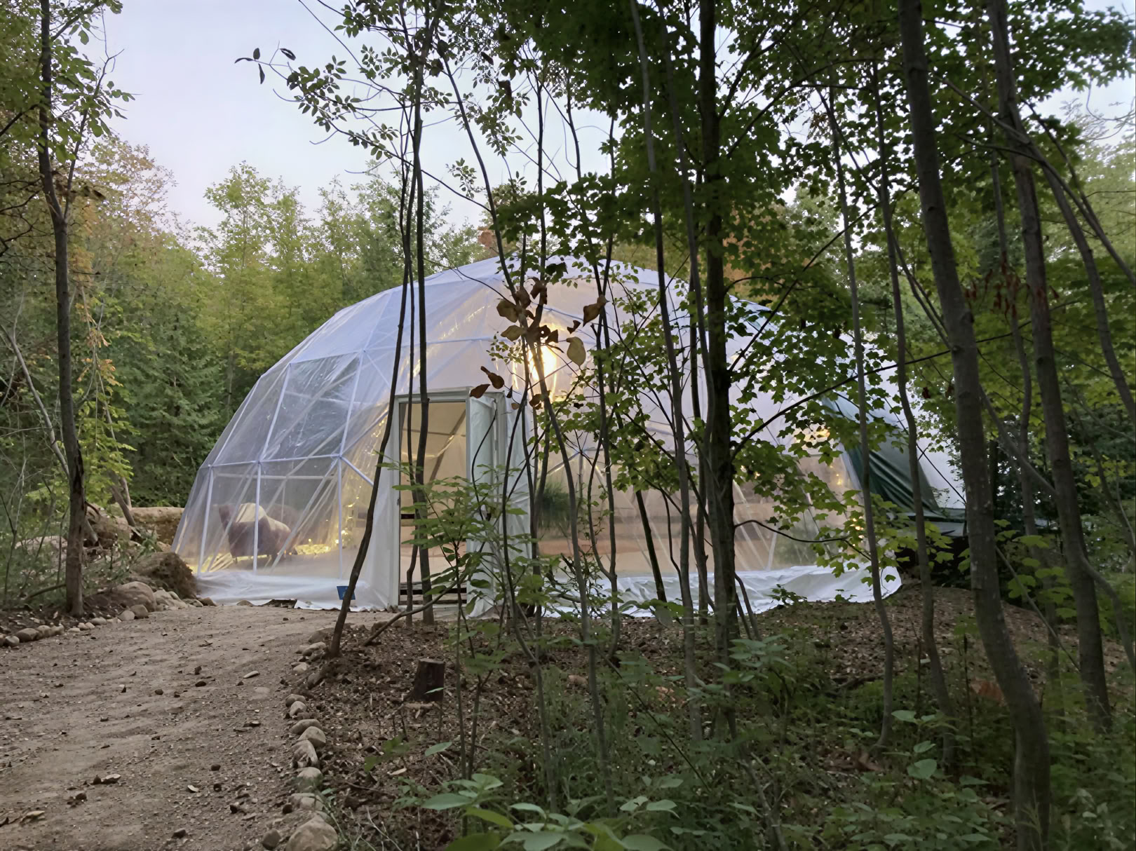 Plant Medicine Retreat