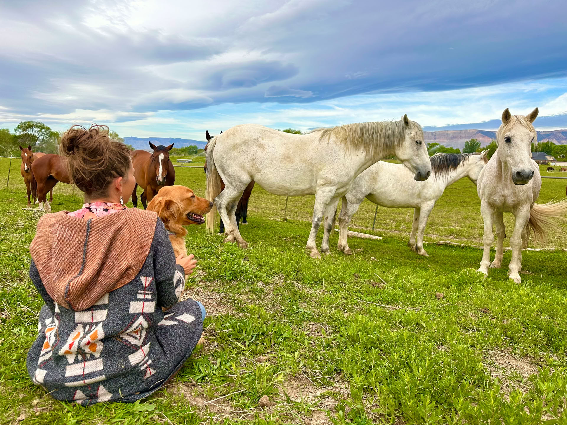 Hearts & Horses for Women