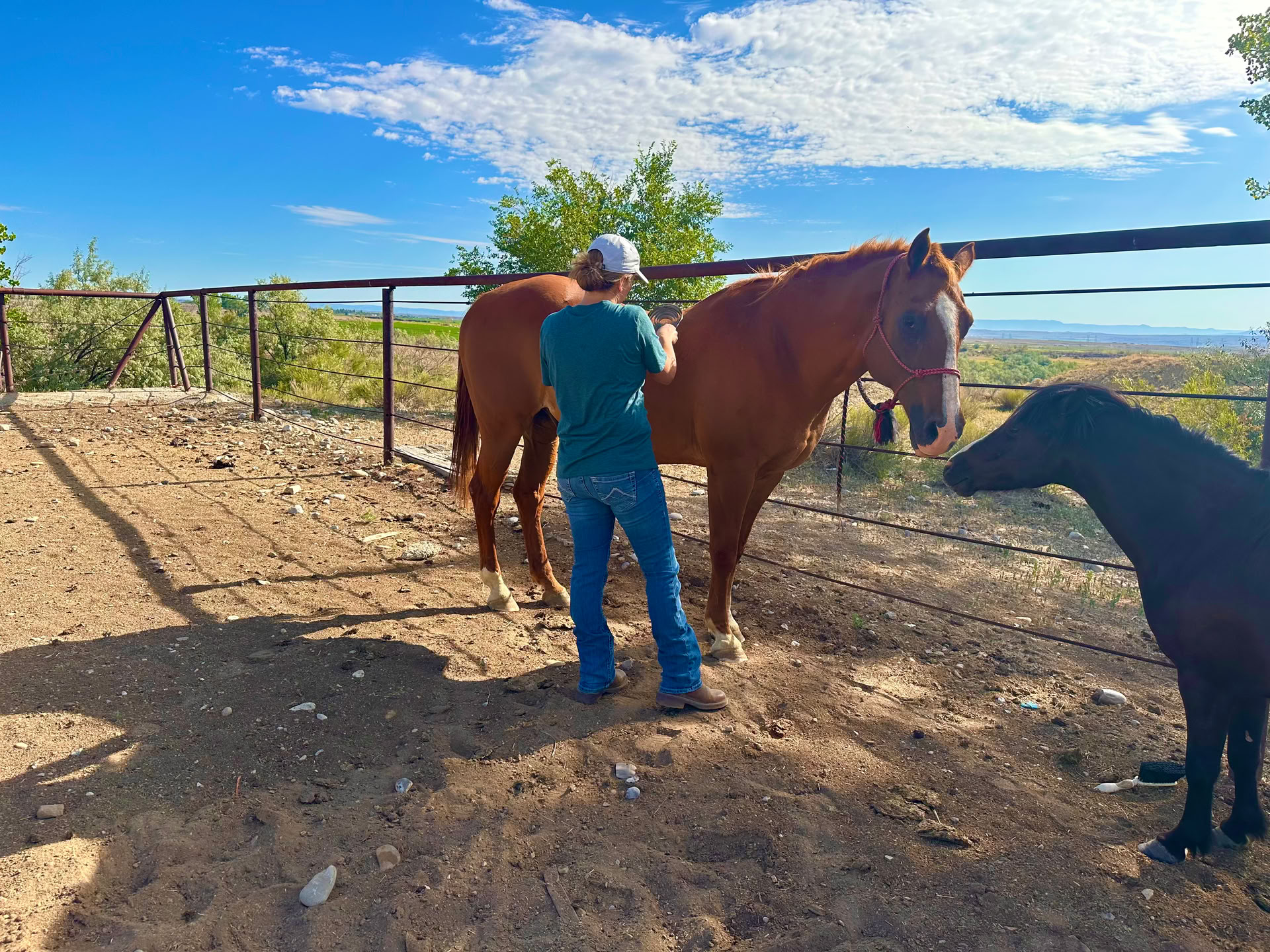 Hearts & Horses for Women