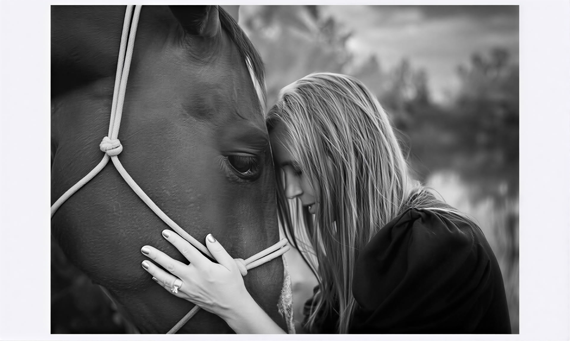 Hearts & Horses for Women