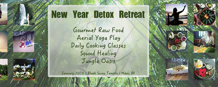 New Year Detox Retreat