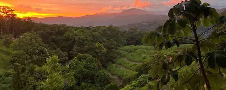 Inner Vision 5-Day Immersive Retreat
