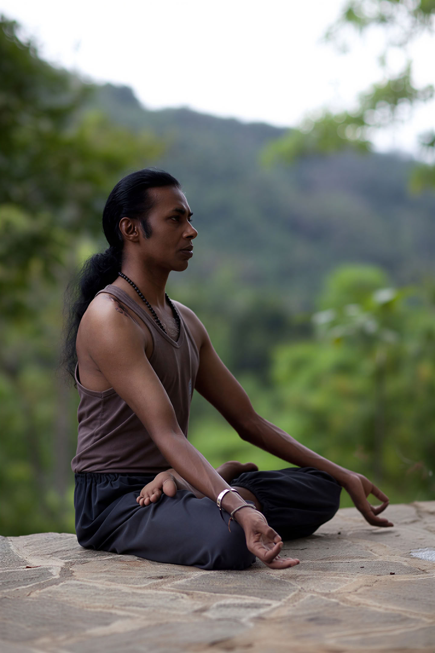 Yoga - Tai Chi - Qigong