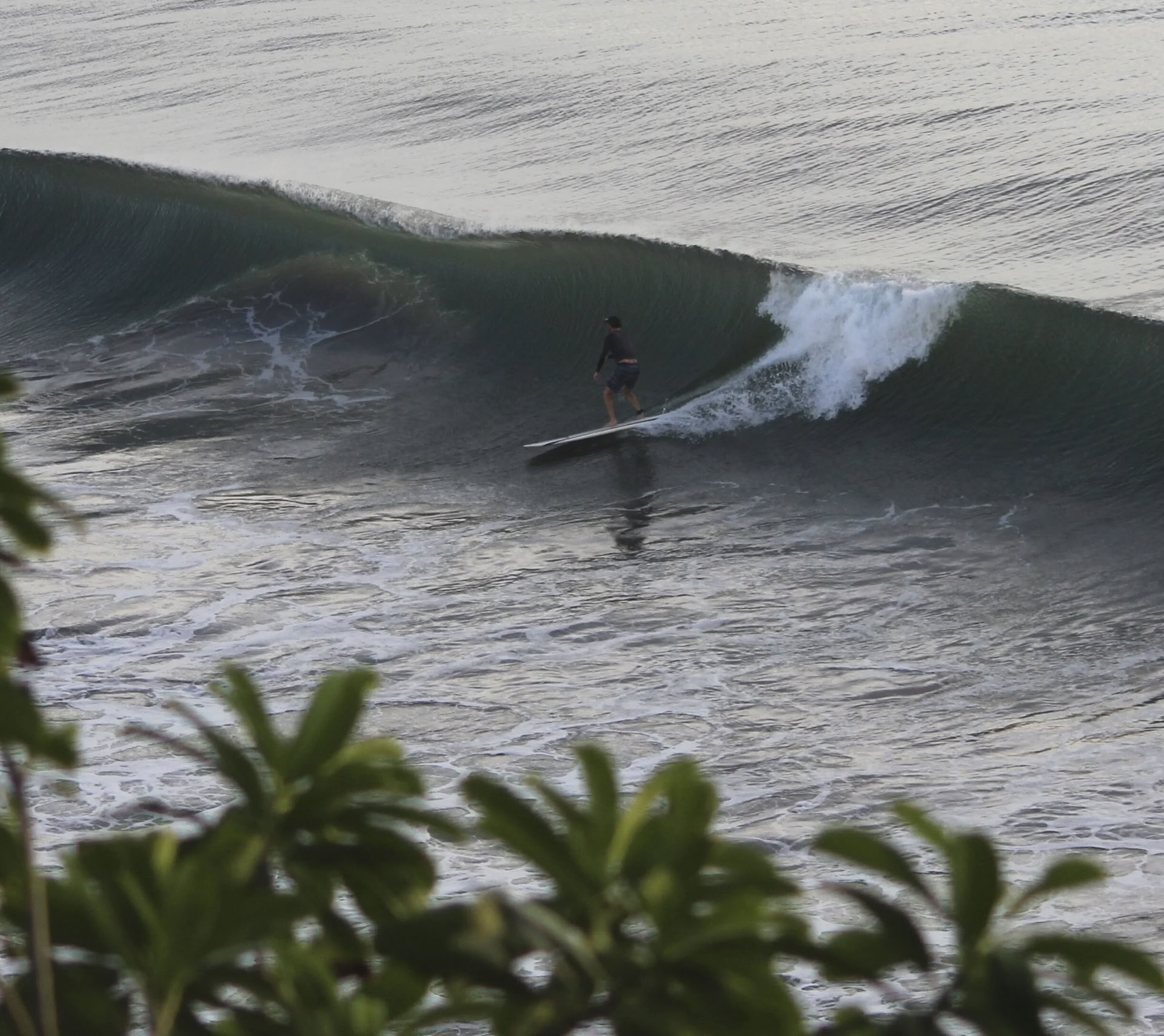 Breathwork + Surf Immersion