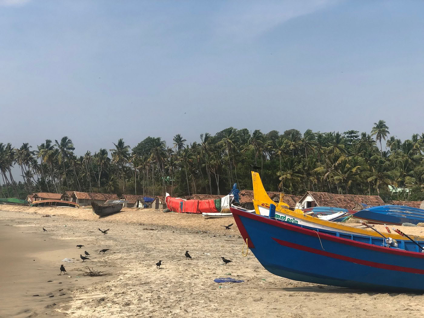 Tra Oceano e Silenzio: Ritiro di Yoga e Ayurveda nel Cuore del Kerala, India