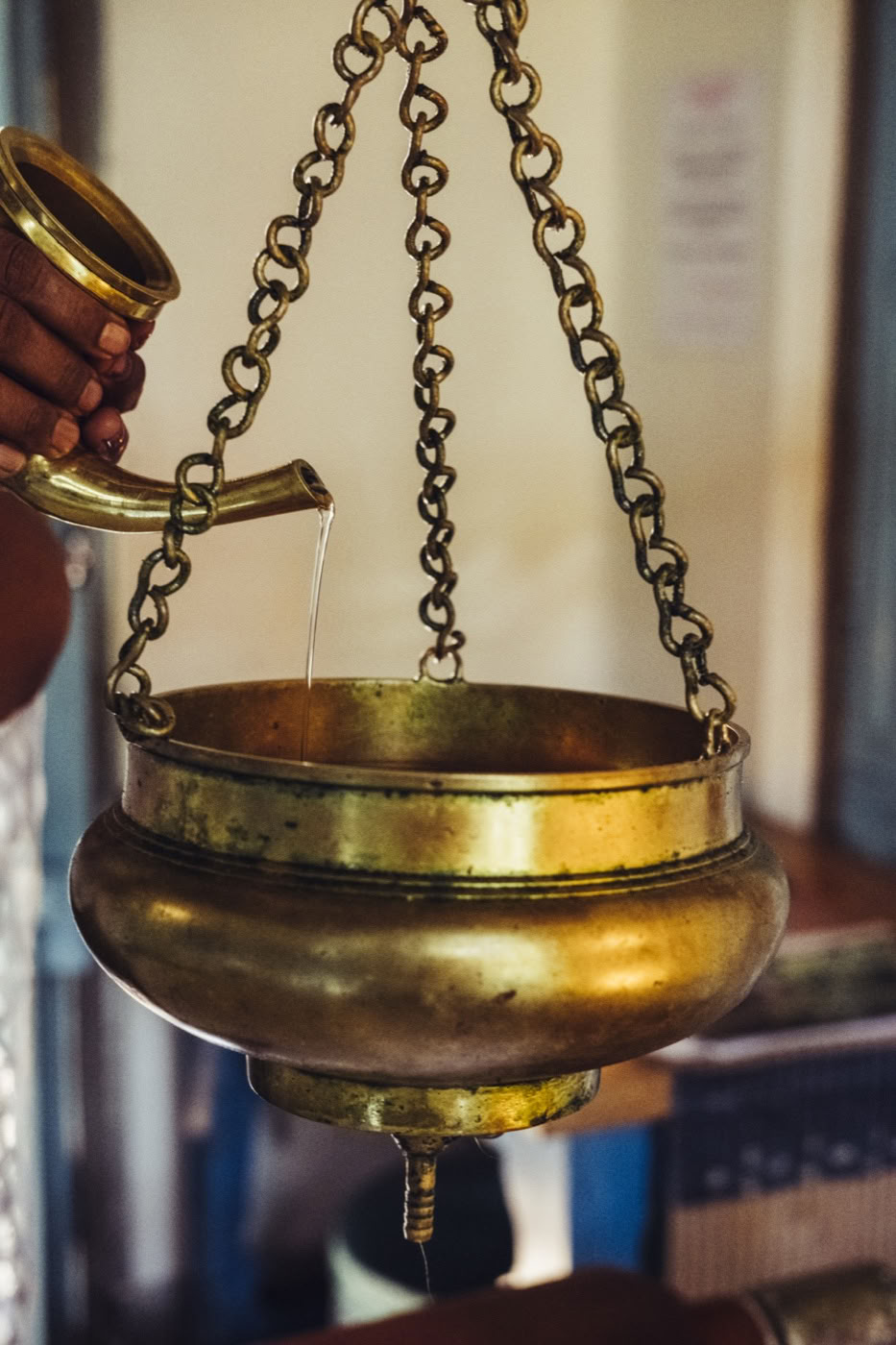 The Ayurveda Wellness Retreat