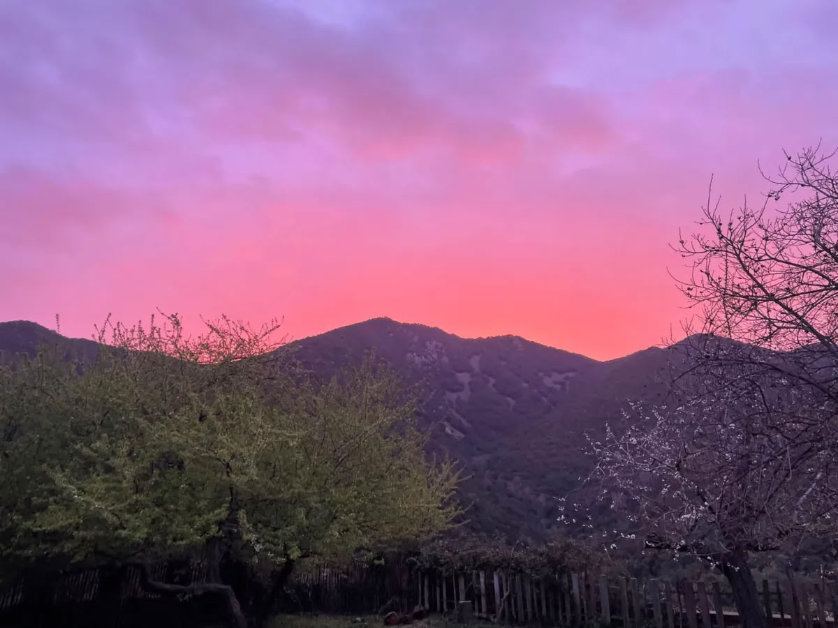 Ayahuasca Retreat, Bufo, Kambo, Yopo — 4 days