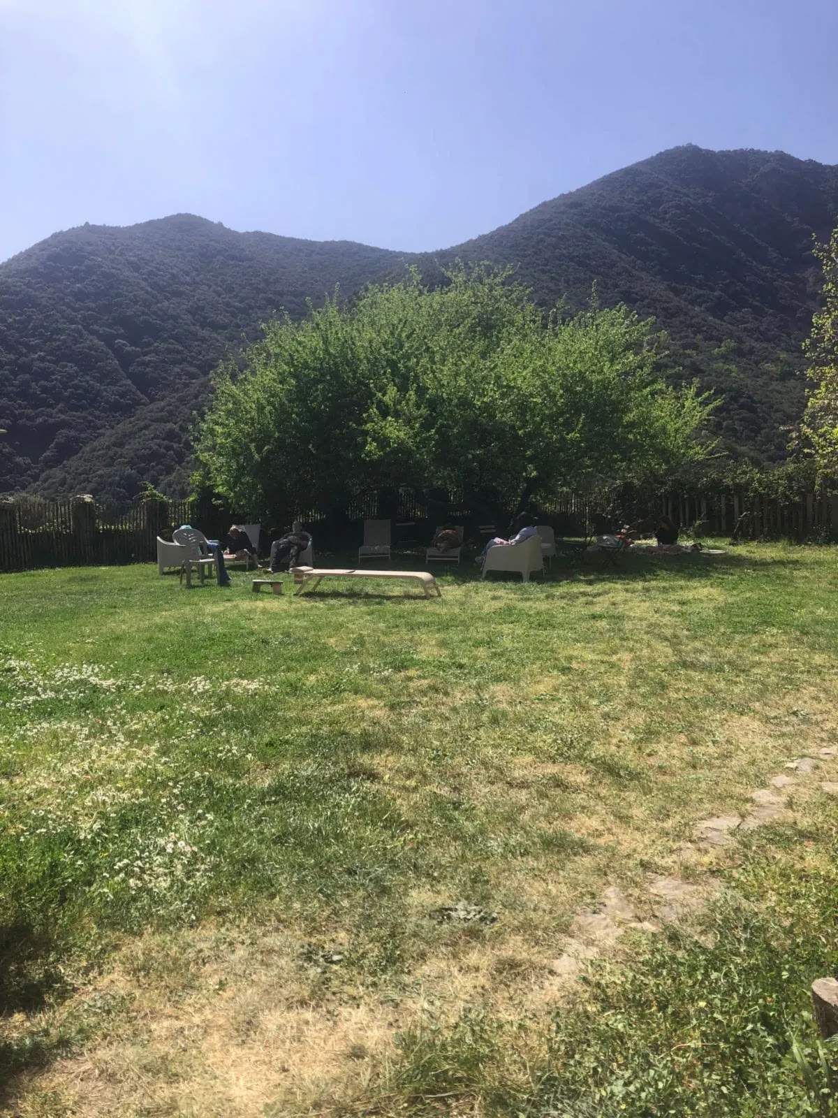 Ayahuasca Retreat, Bufo, Kambo, Yopo — 4 days
