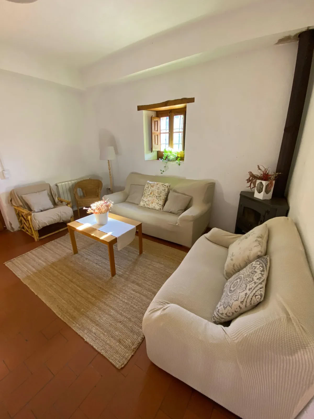 Ayahuasca Retreat, Bufo, Kambo, Yopo — 4 days