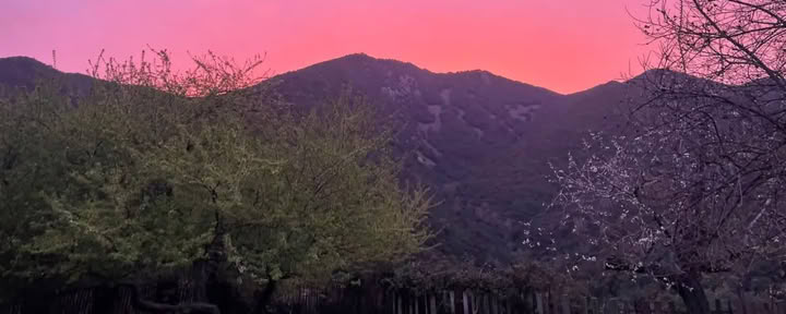 Ayahuasca Retreat, Bufo, Kambo, Yopo — 4 days