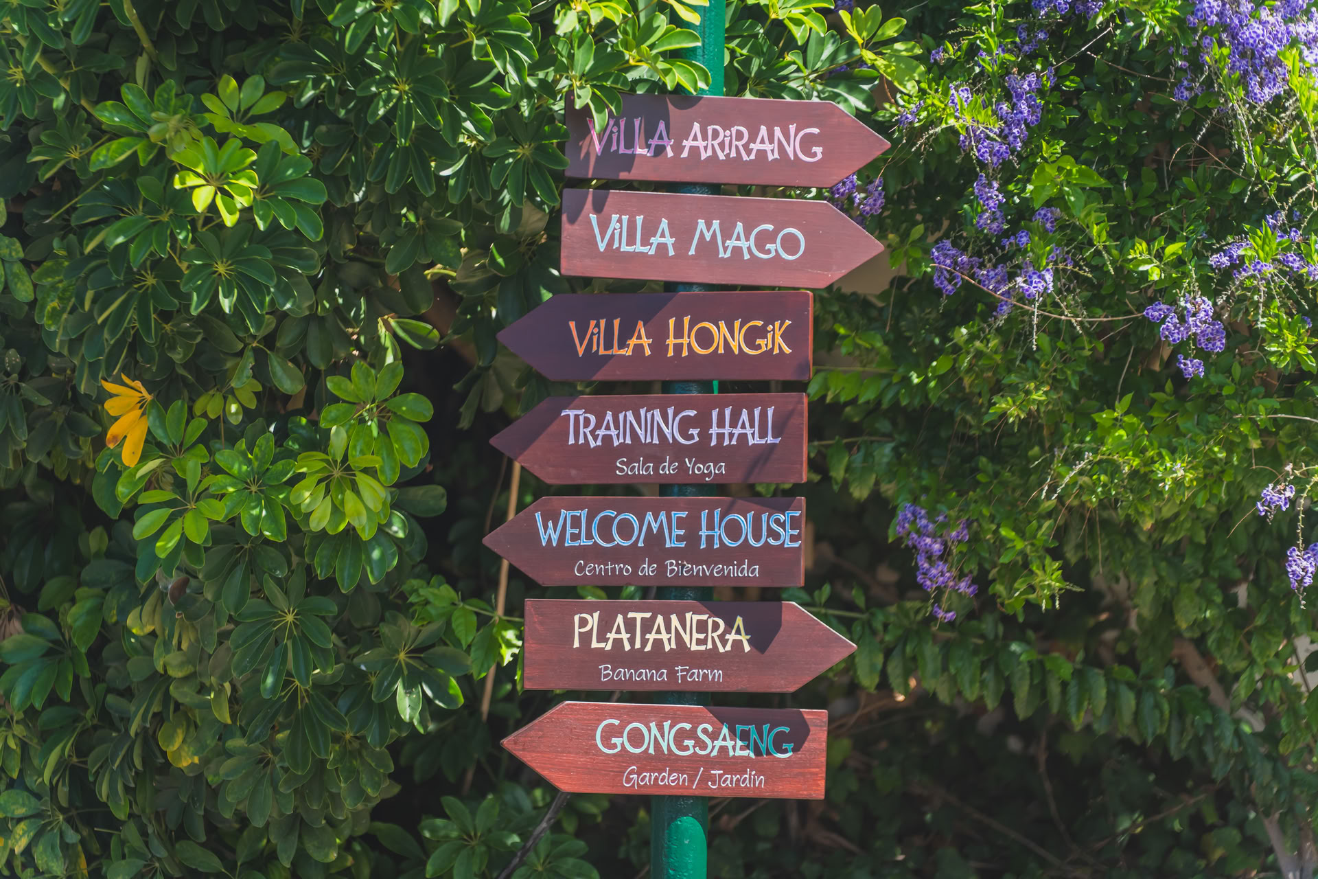 Love Myself Wellness Retreat – 23-28 June 2026