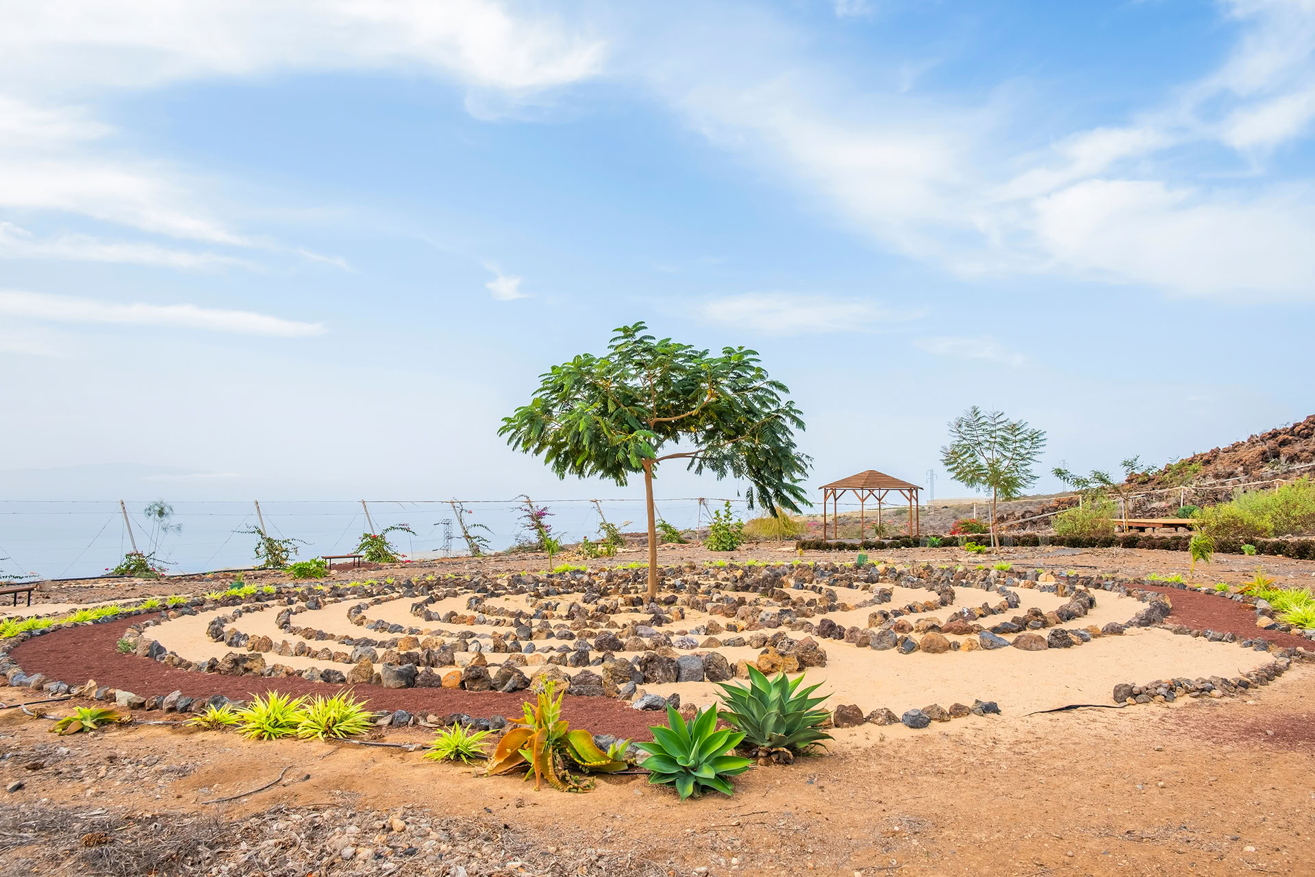 Tenerife Meditation Tour